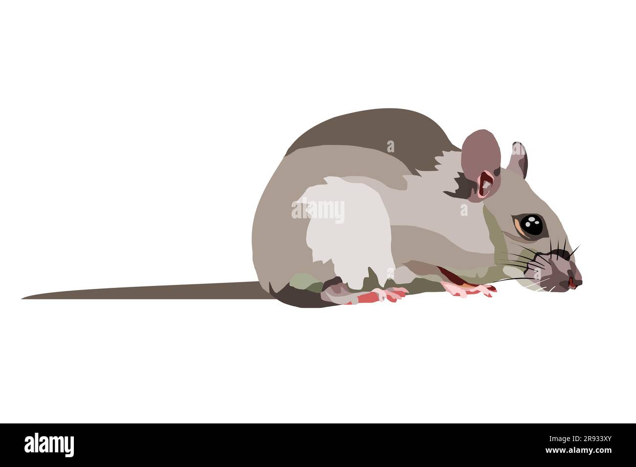 Ratte Isolat auf weißem Hintergrund, Maus ist Nagetiere, die Schmutz verursachen und können Träger der Krankheit sein, die grauen Mäuse in Vektorgrafik Stock Vektor