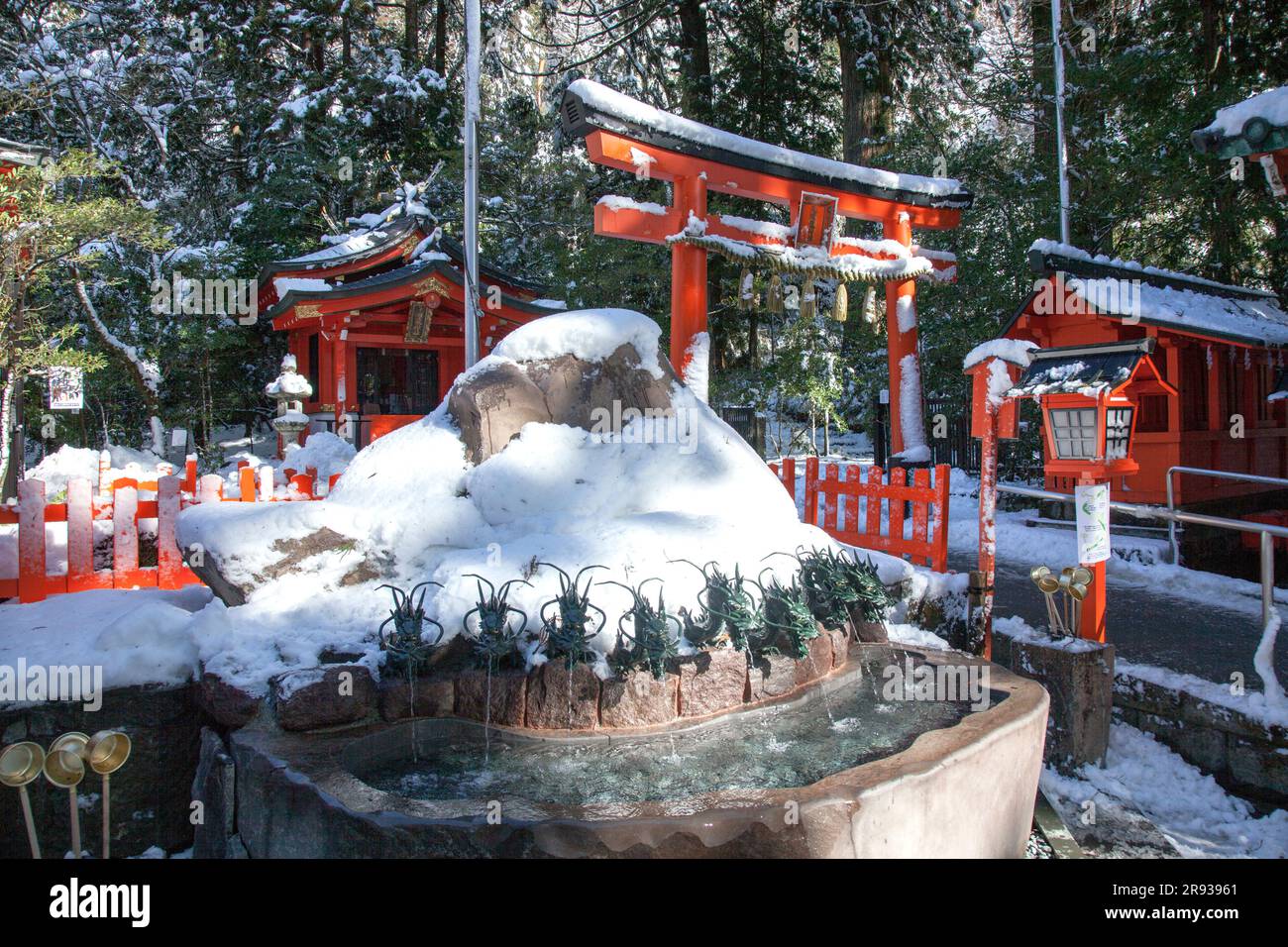 Schnee auf dem Kuzuryu-Schrein und Ryujin-Sprotten Stockfoto