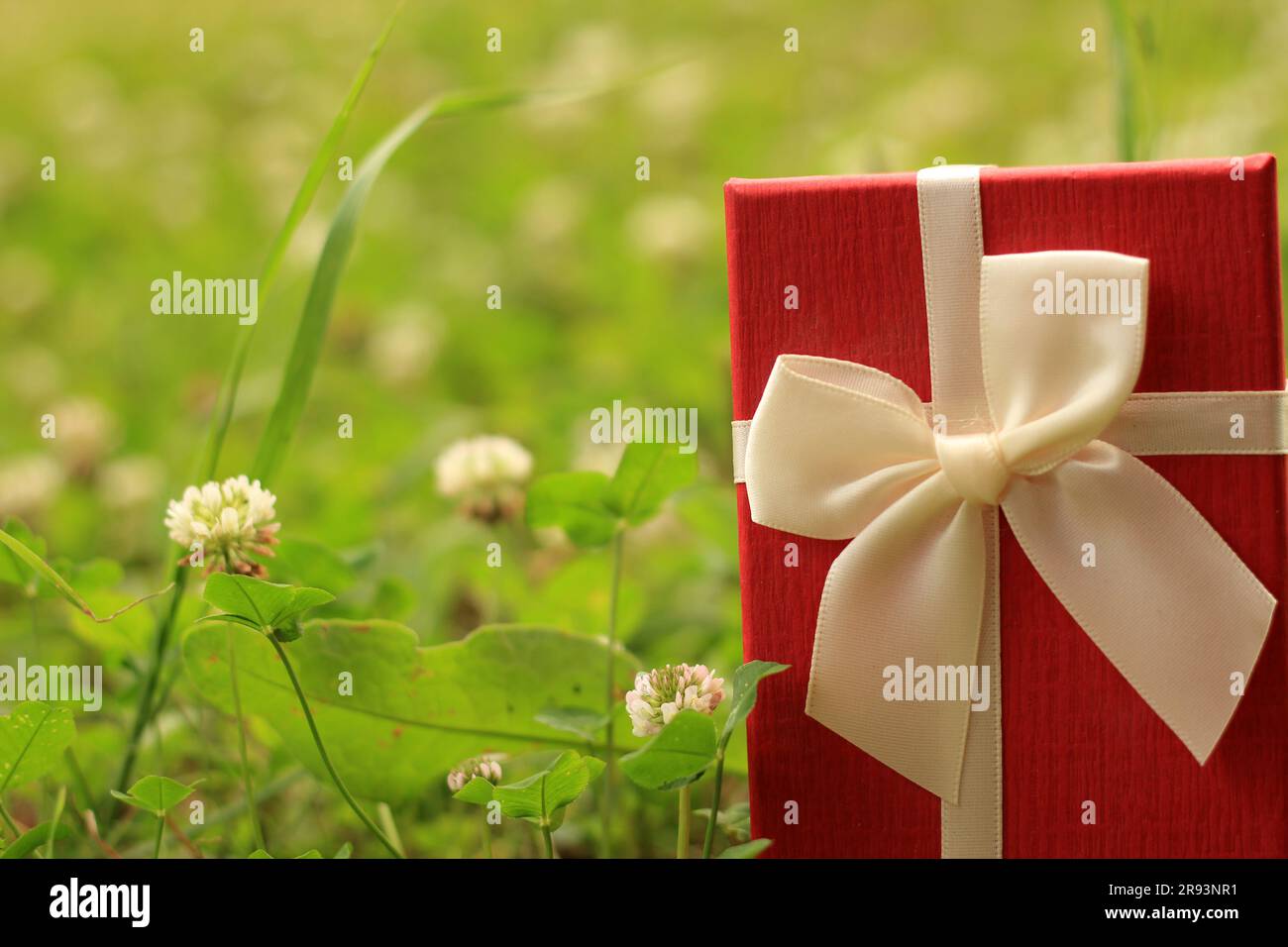 Verschiedene Geschenkboxen mit Sonnenlicht auf dem Rasen des Parks an einem sonnigen Sommertag Stockfoto