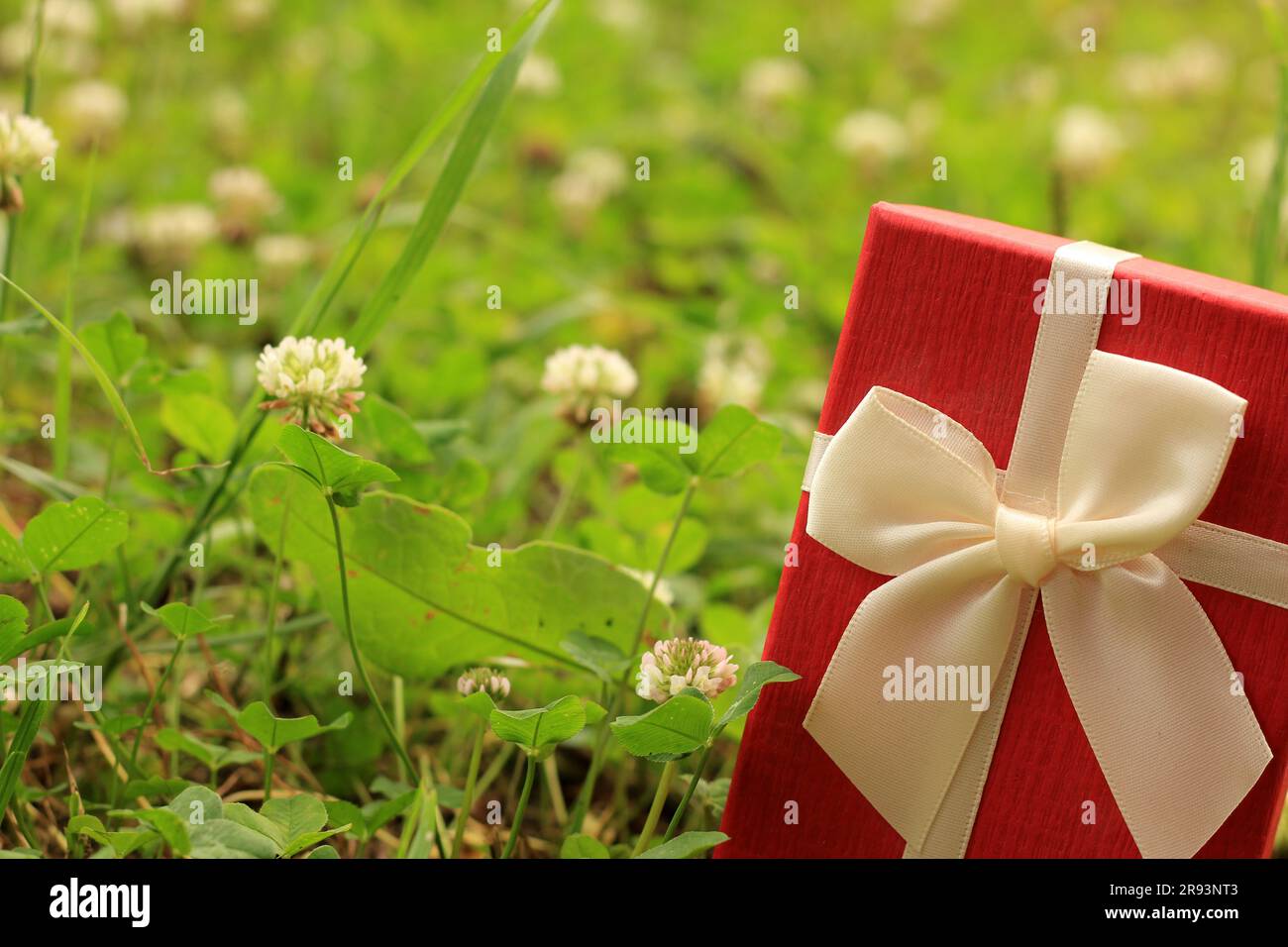 Verschiedene Geschenkboxen mit Sonnenlicht auf dem Rasen des Parks an einem sonnigen Sommertag Stockfoto