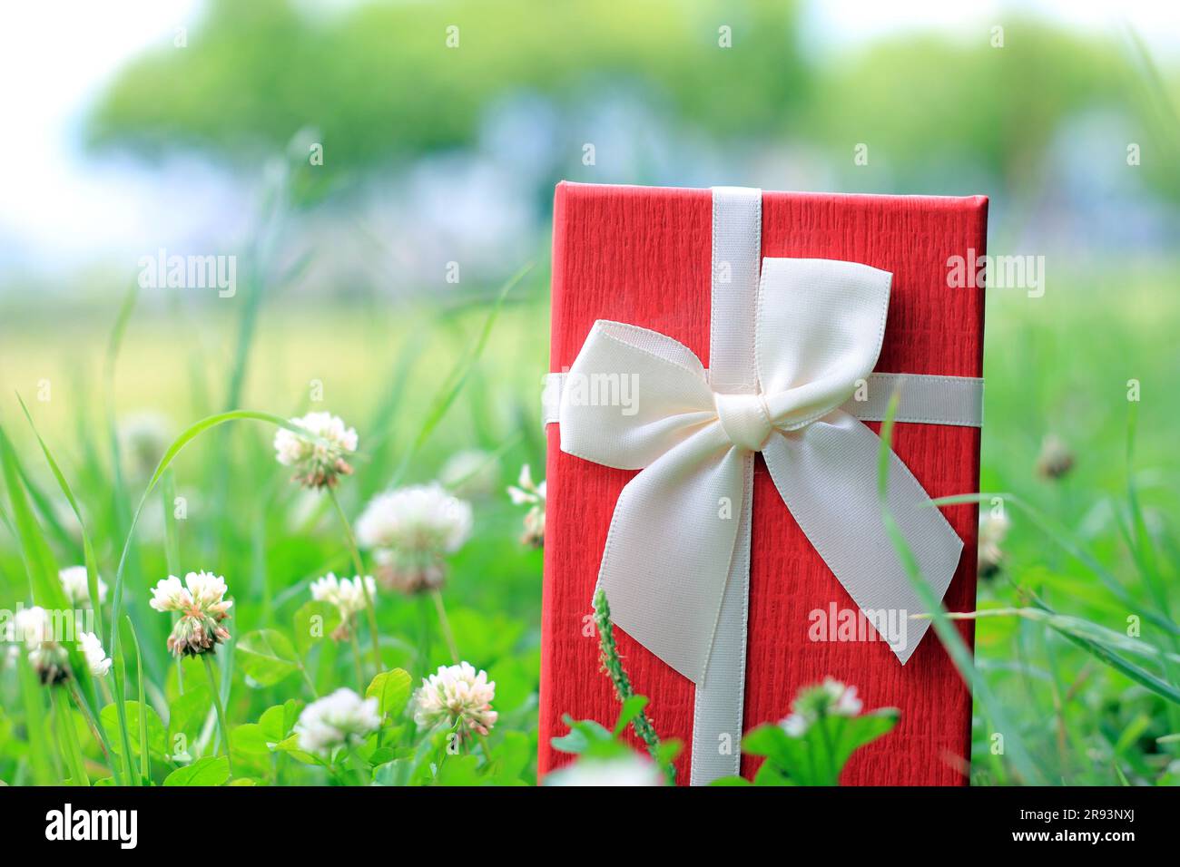 Verschiedene Geschenkboxen mit Sonnenlicht auf dem Rasen des Parks an einem sonnigen Sommertag Stockfoto