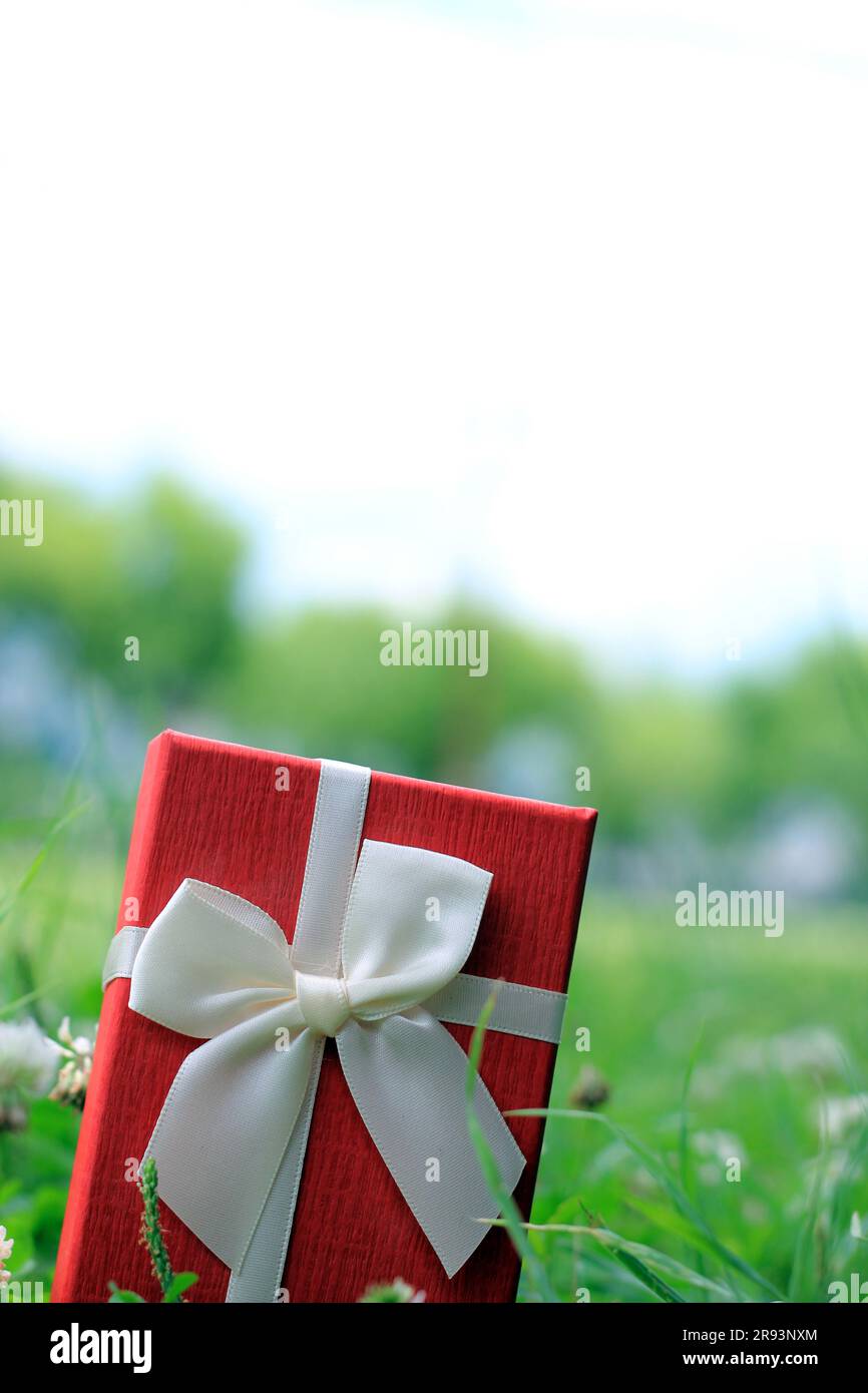 Verschiedene Geschenkboxen mit Sonnenlicht auf dem Rasen des Parks an einem sonnigen Sommertag Stockfoto