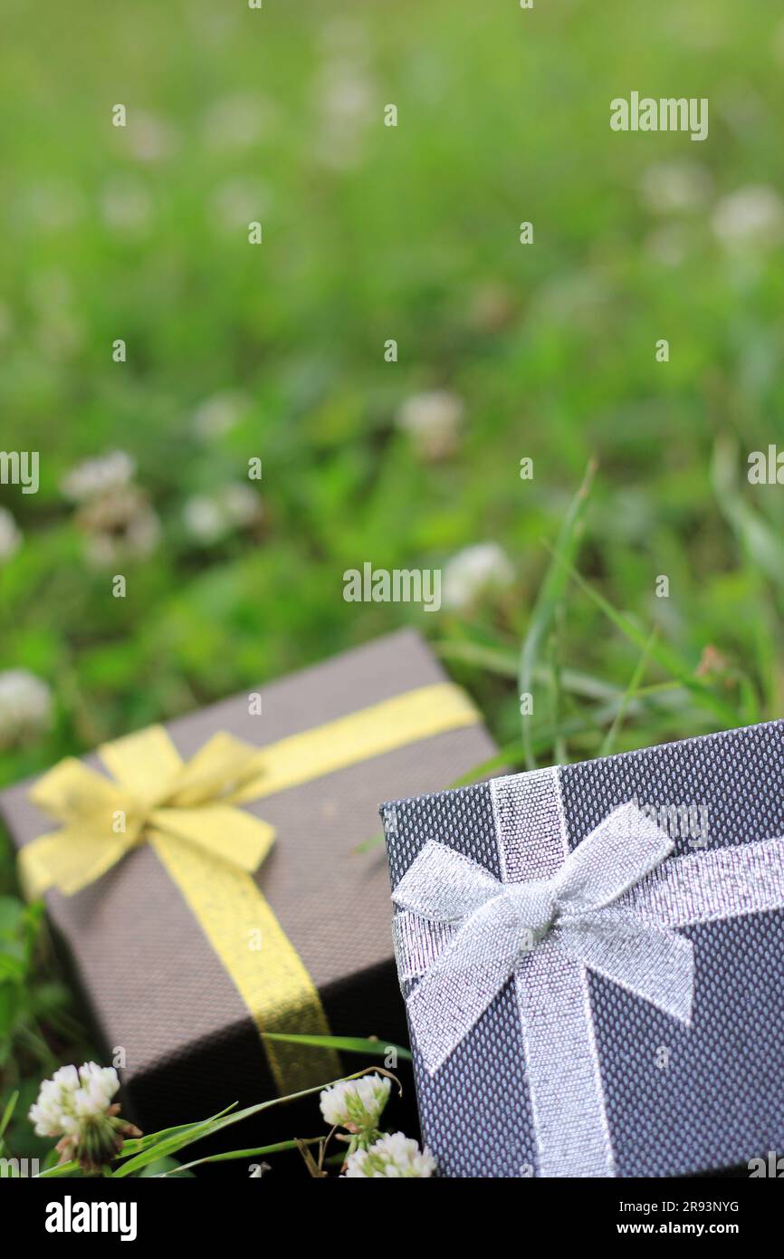Verschiedene Geschenkboxen mit Sonnenlicht auf dem Rasen des Parks an einem sonnigen Sommertag Stockfoto
