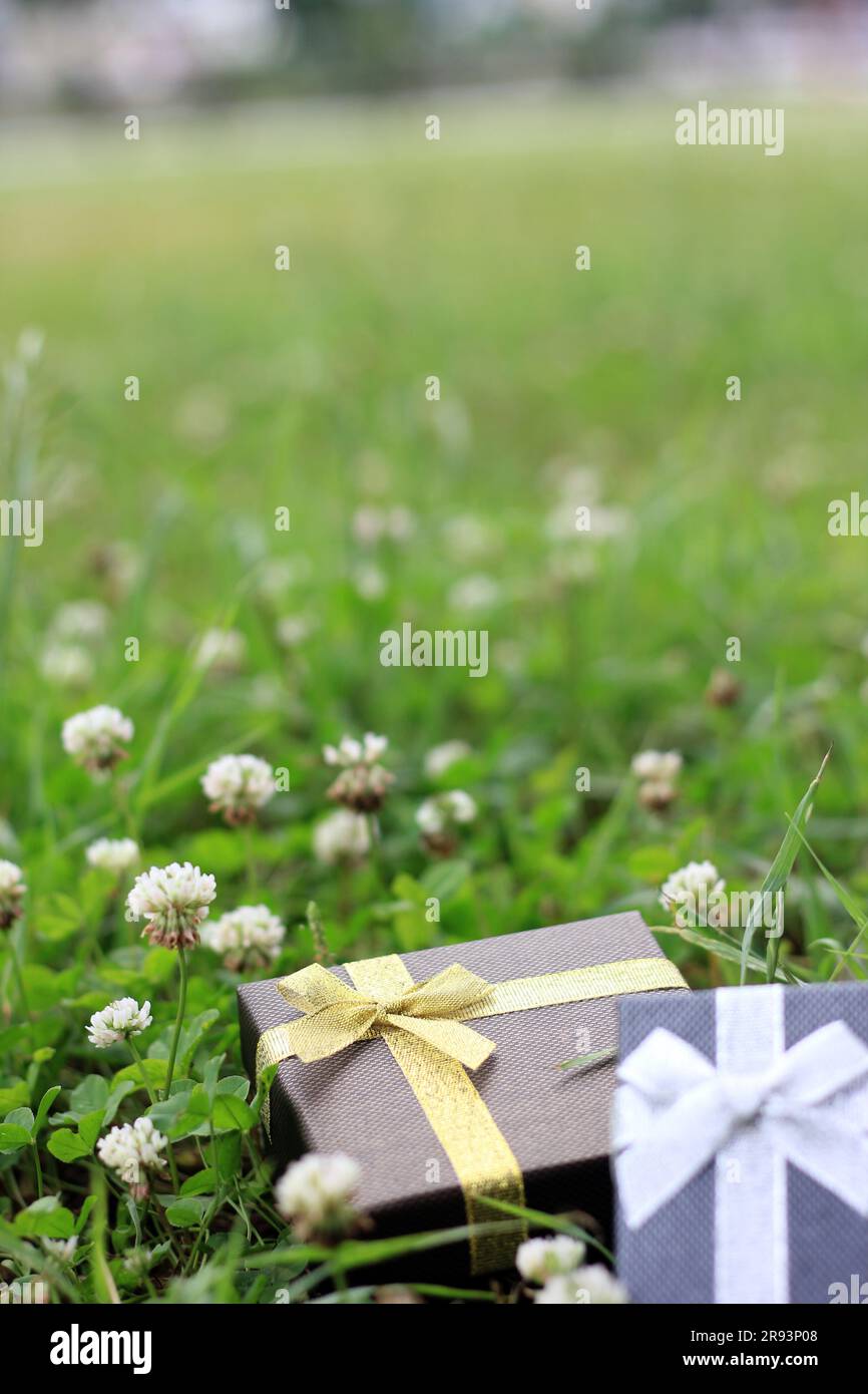 Verschiedene Geschenkboxen mit Sonnenlicht auf dem Rasen des Parks an einem sonnigen Sommertag Stockfoto