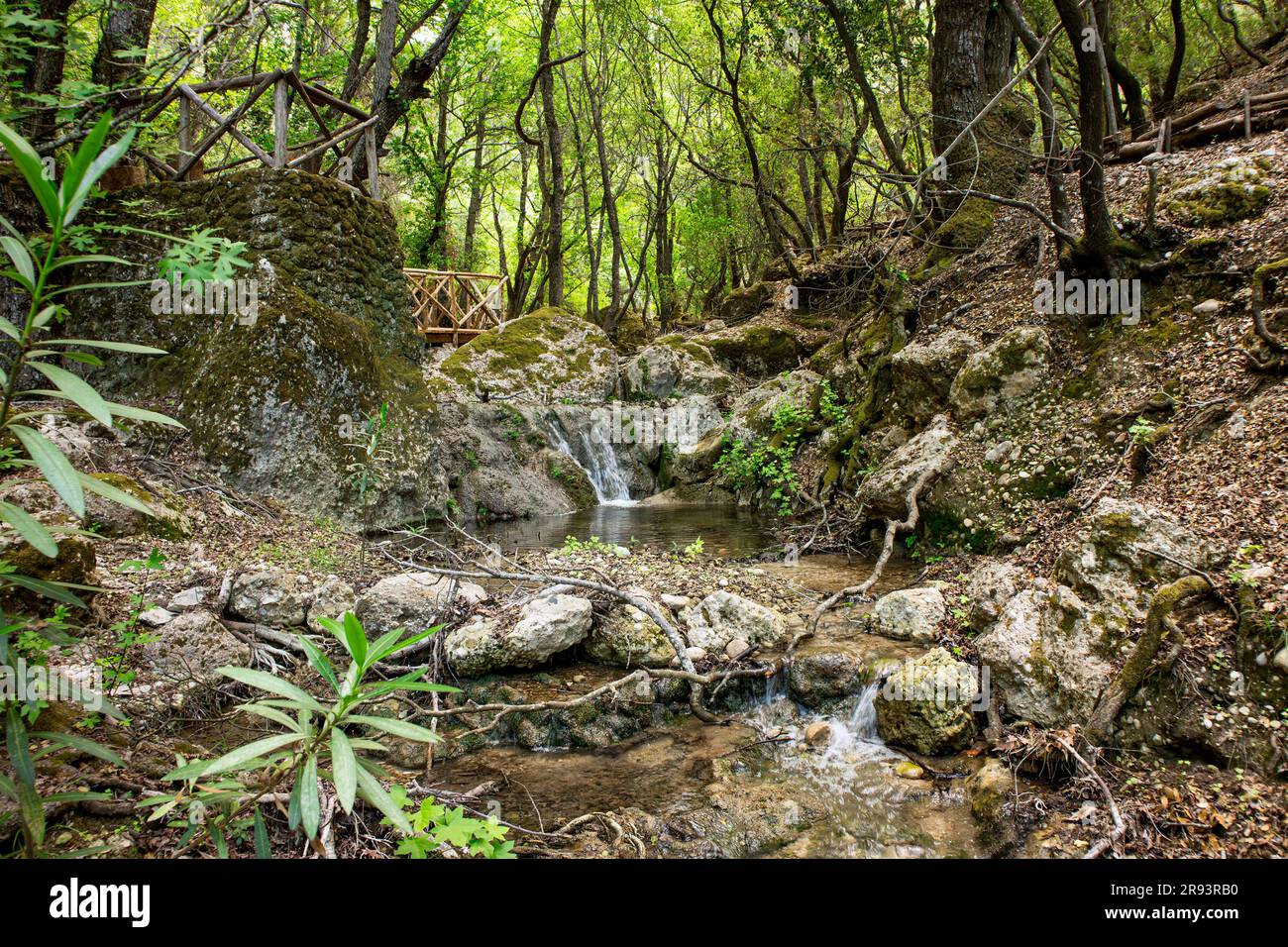 Schmetterlingstal oder Tal der Schmetterlinge in Rhodos, Griechenland. Wunderschöner Park mit Spazierwegen und Bächen im Sommer. Stockfoto