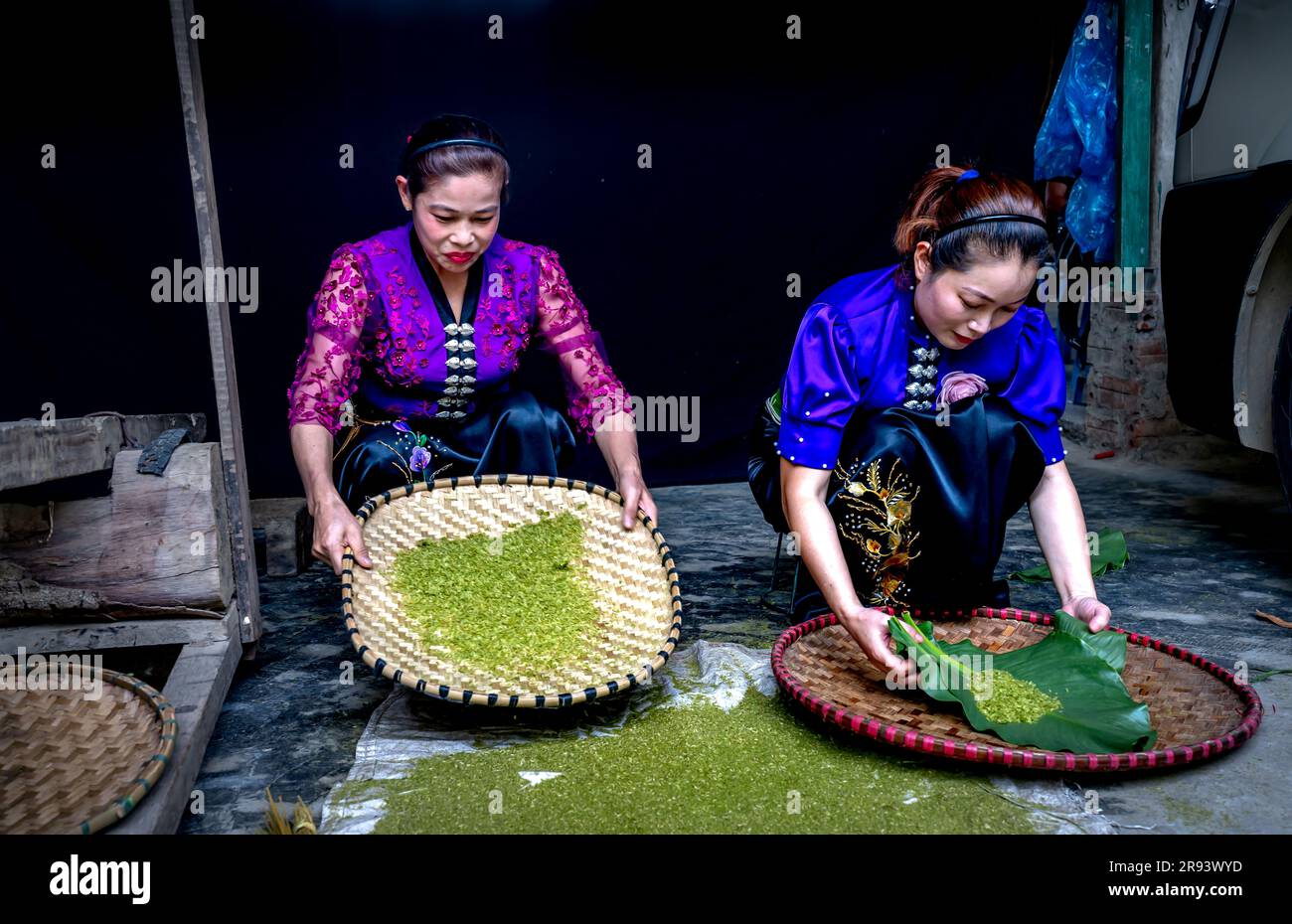 Frauen aus ethnischen Minderheiten produzieren grüne Reisflocken, nachdem sie auf terrassenförmigen Feldern in TU Le, Provinz Yen Bai, Vietnam, jungen Reis geerntet haben Stockfoto