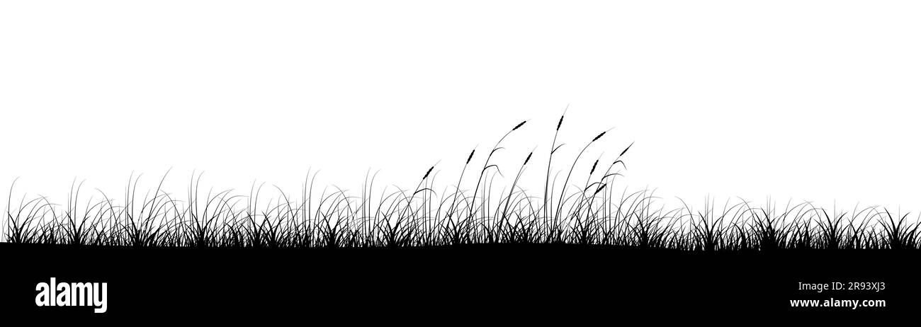 Schilf im Wiesengras Panorama-Hintergrund-Design Stock Vektor