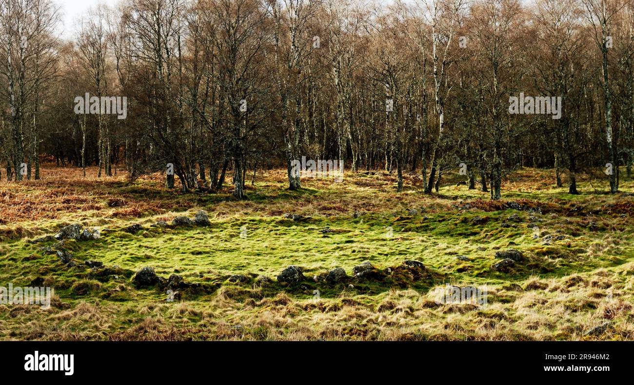 New Kinord prähistorische Siedlung aus der Eisenzeit, Hauskreis 2000 bis 2500 Jahre alt. Zwischen Loch Kinord und Loch Davan, Grampian, Schottland Stockfoto