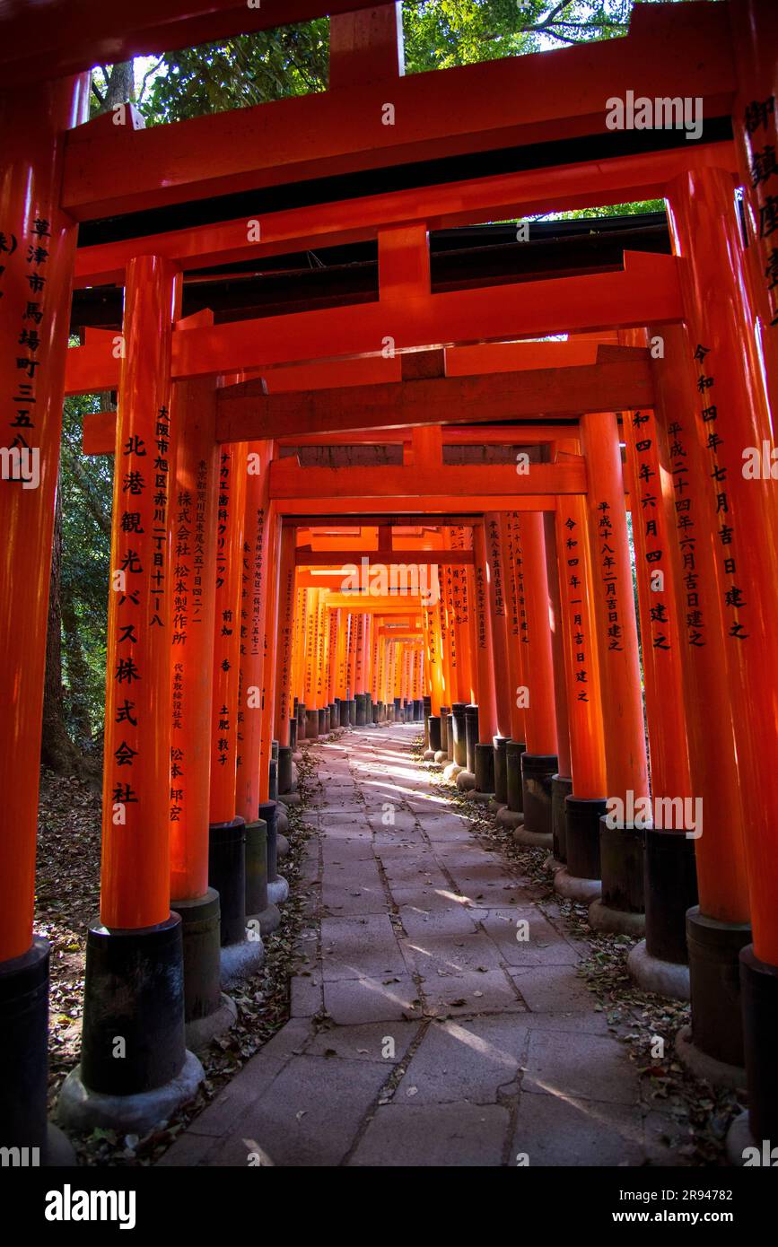 Fushimi Inari Schrein, Kyoto Stockfoto