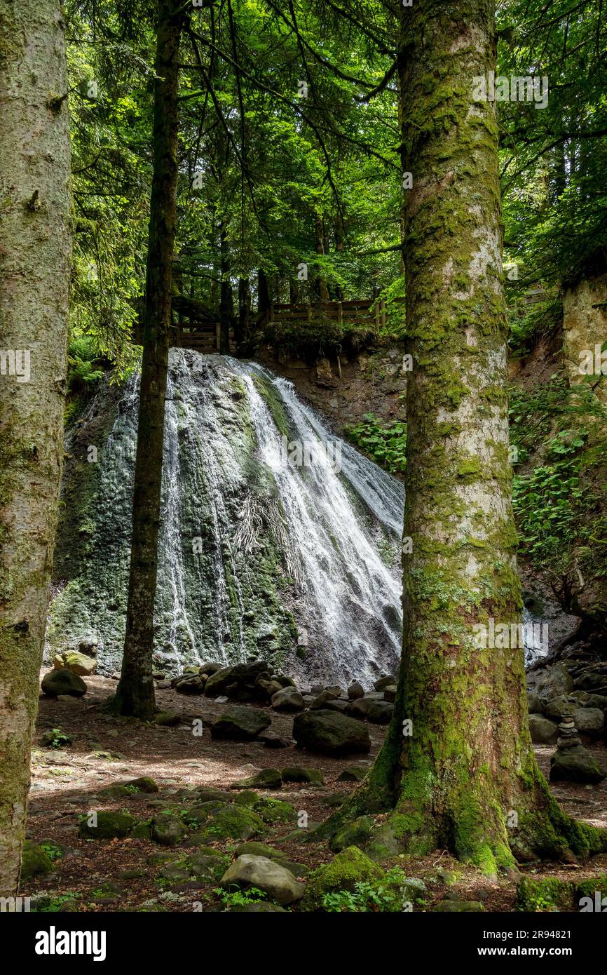 Rossignolet Wasserfall in der Nähe von Le Mont Dore, Auvergne, Puy-de-Dome, Auvergne Rhône-Alpes, Frankreich Stockfoto