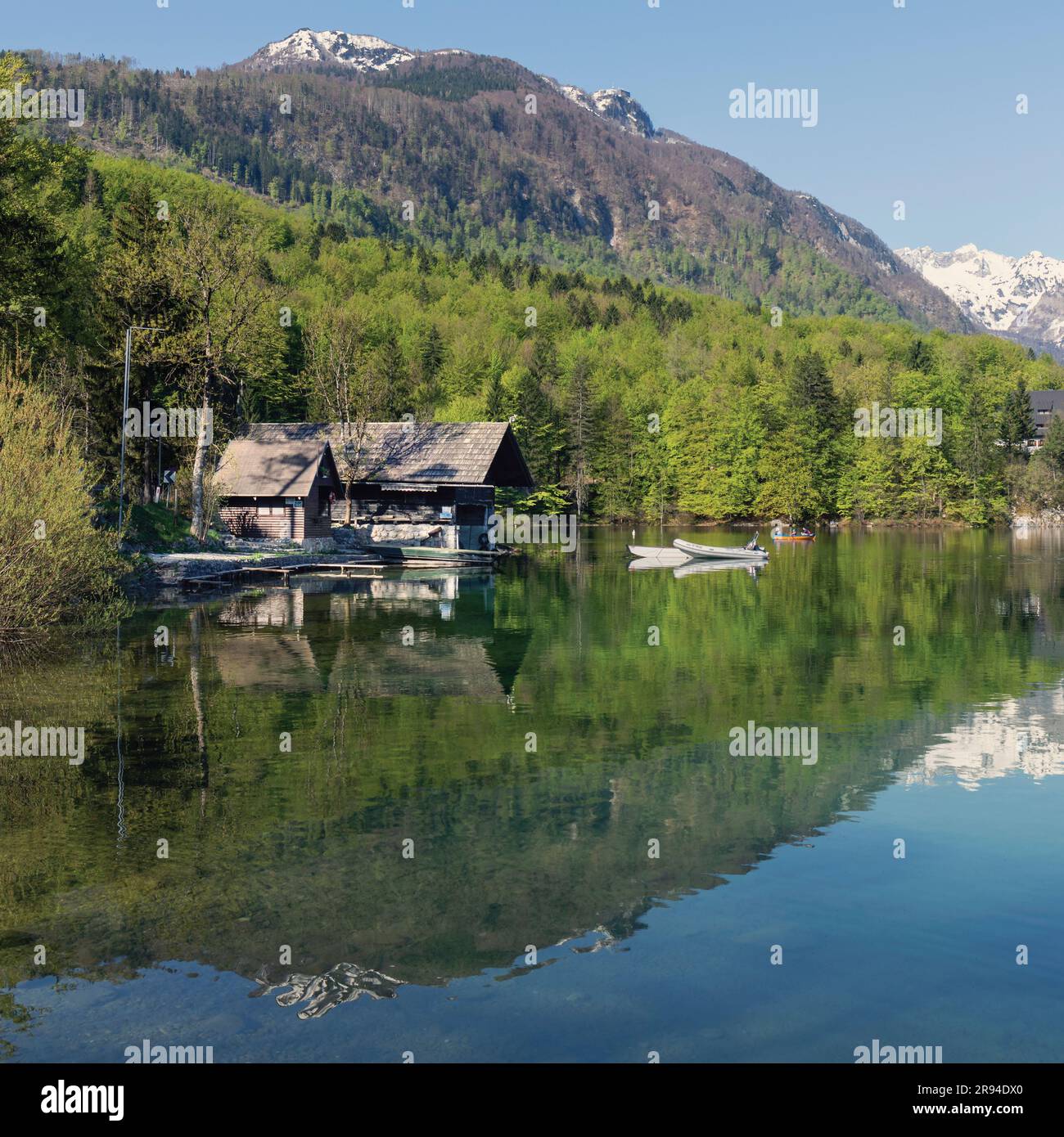 Ruhige Szene am Bohinjsee, Triglav-Nationalpark, Oberkarniola, Slowenien. Stockfoto