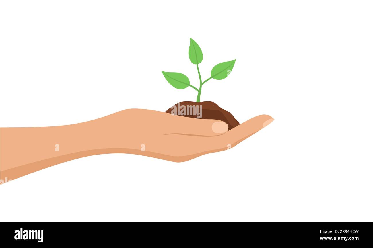 Eine Hand, die einen Setzling im Boden hält, isoliert auf weißem Hintergrund. Abbildung eines flachen Vektors Stock Vektor