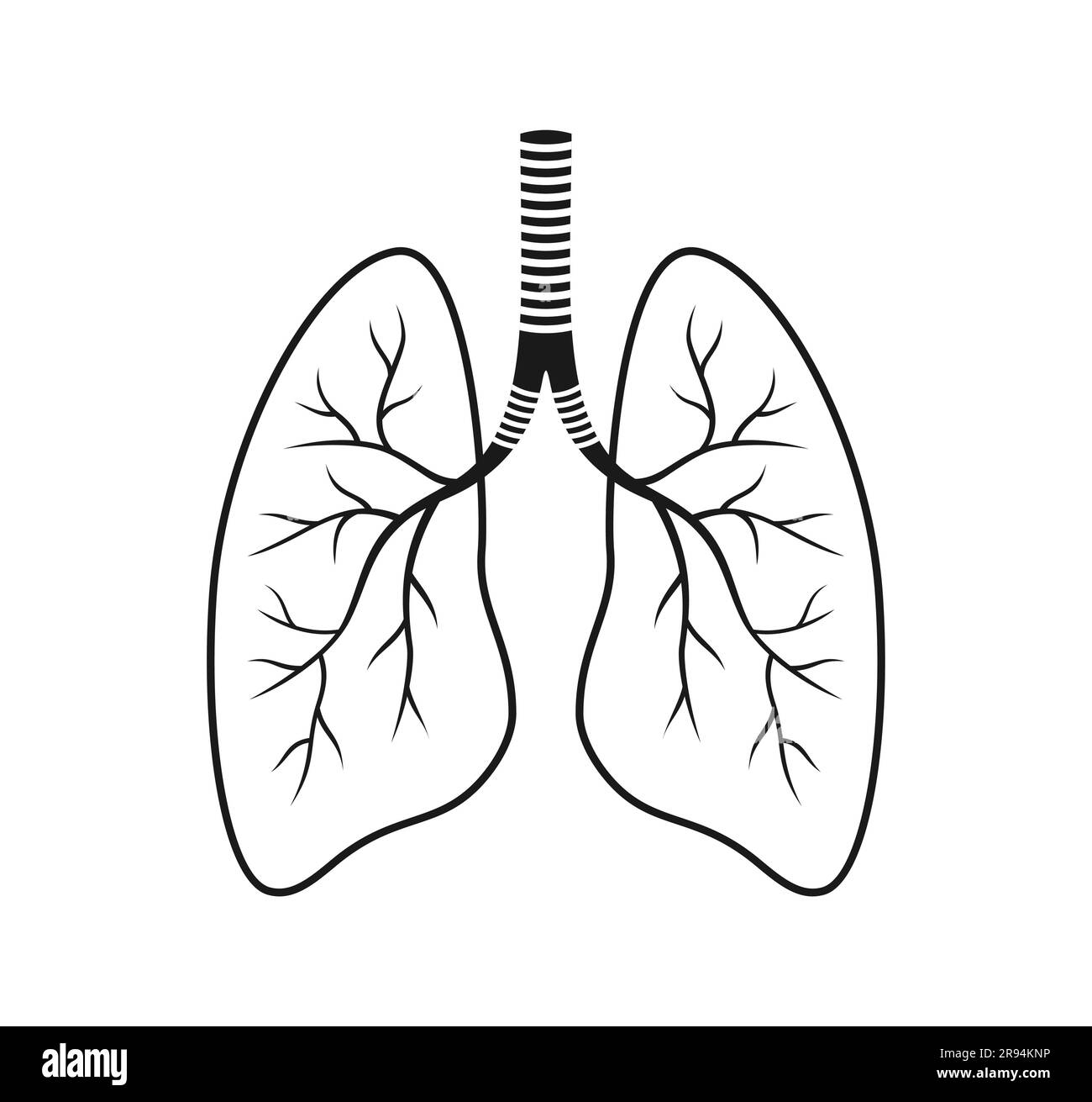 Schwarz-weißes Lungensymbol auf weißem Hintergrund. Vektordarstellung Stock Vektor
