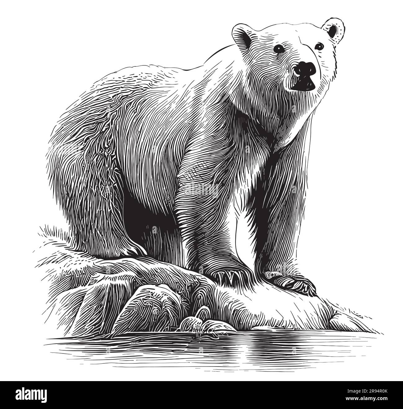 Weißer Eisbär, handgezeichnet in einer Zeichnung im Doodle-Stil Stock Vektor
