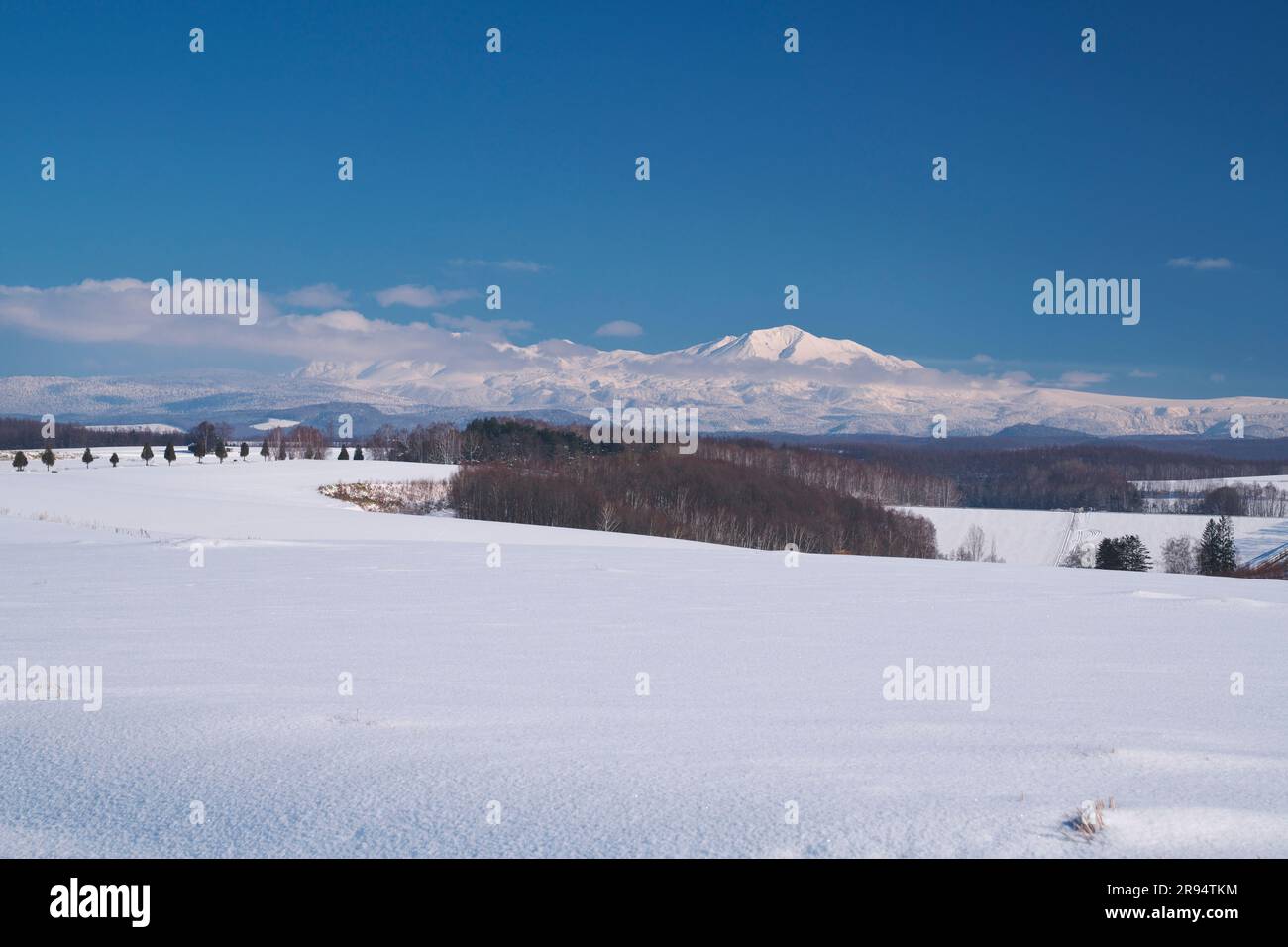 Mt. Daisetsu und Schneefeld Stockfoto