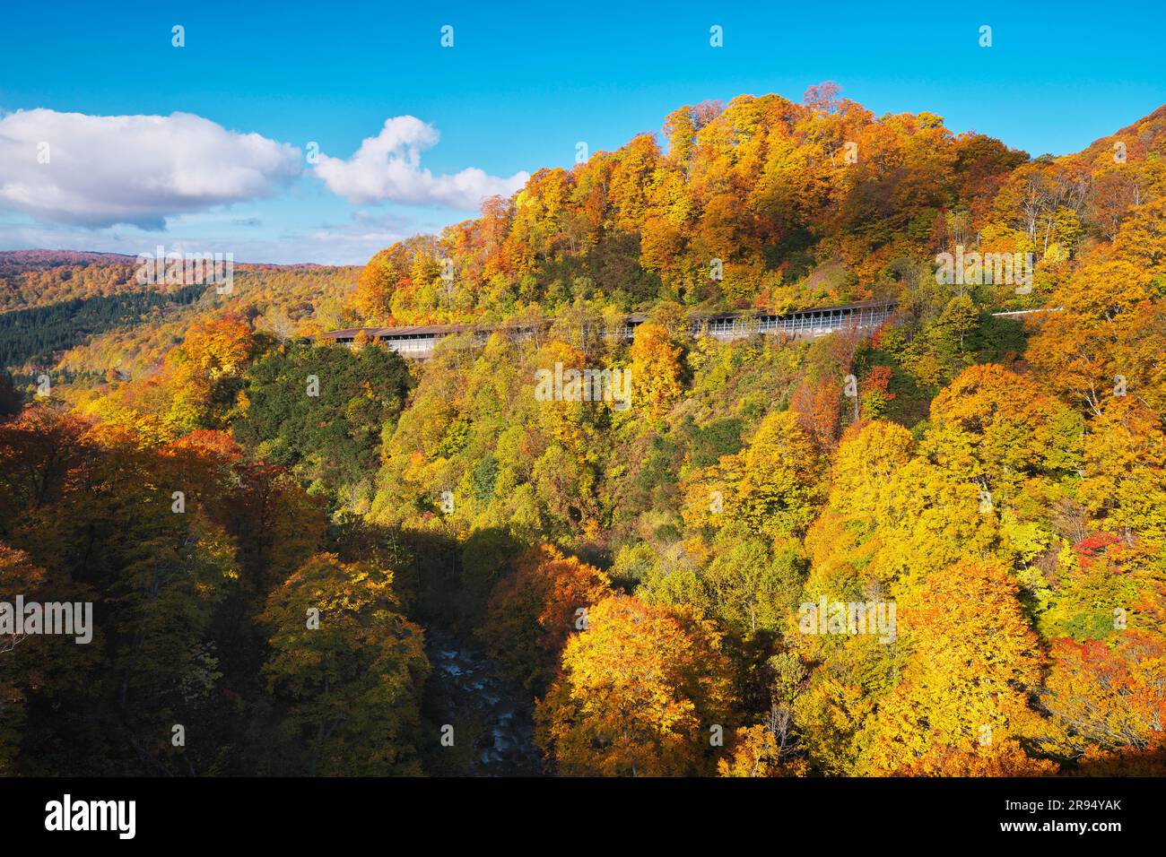 Herbstfarben von Shintamagawa Onsen Stockfoto