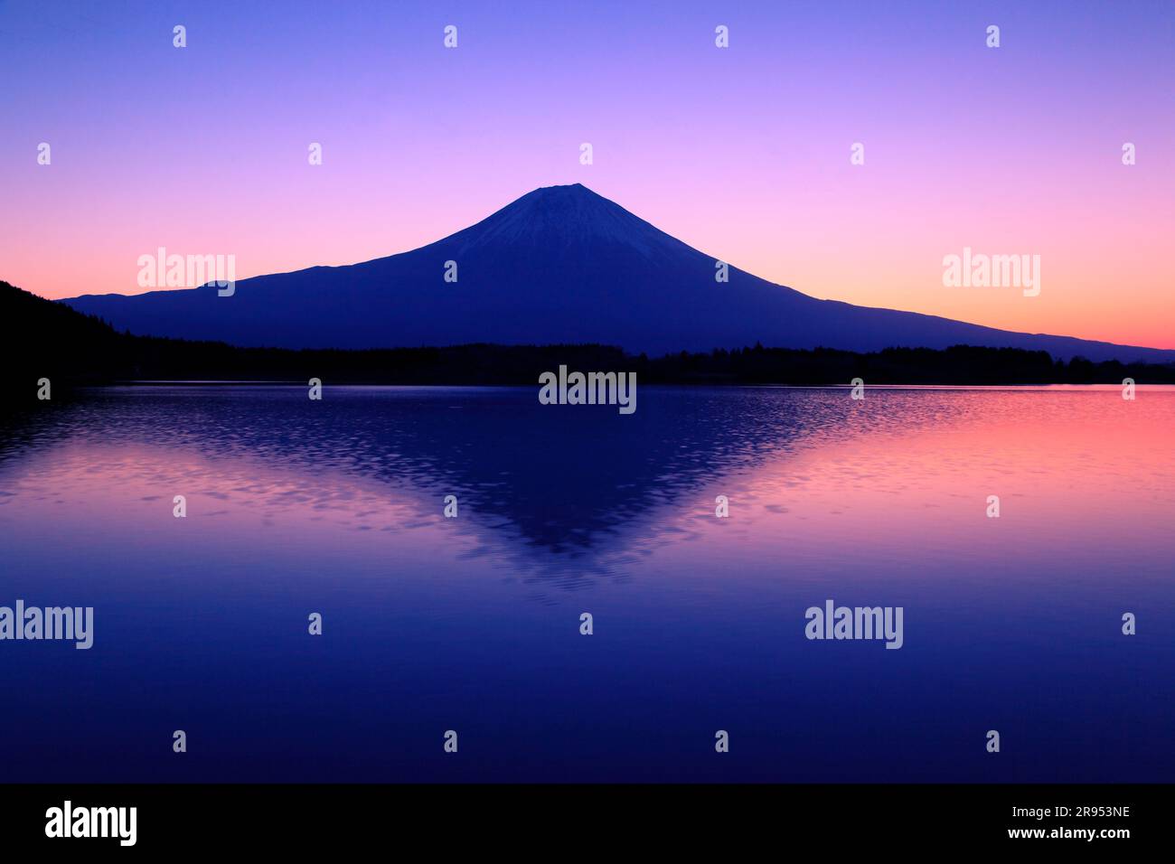 Morgengrauen am Fuji Stockfoto