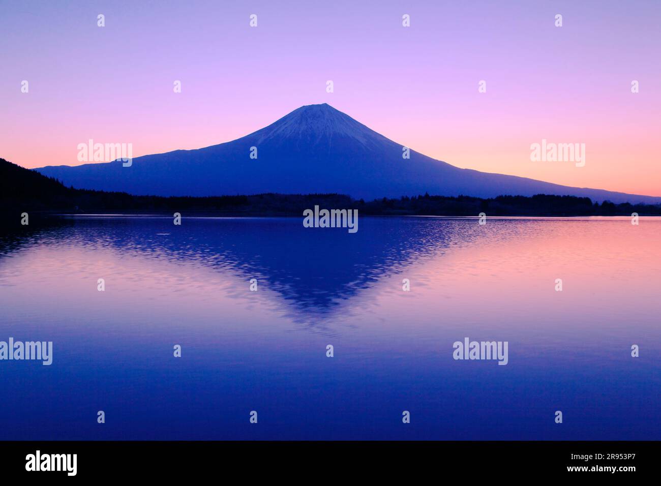 Morgengrauen am Fuji Stockfoto