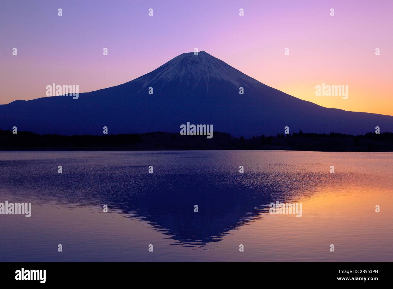 Morgengrauen am Fuji Stockfoto