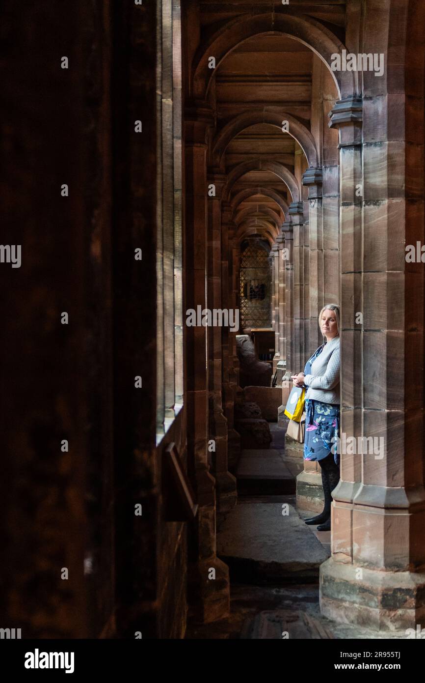 Eine Frau, die auf die Kreuzgänge in Chester Cathedral, Chester, Großbritannien schaut. Stockfoto