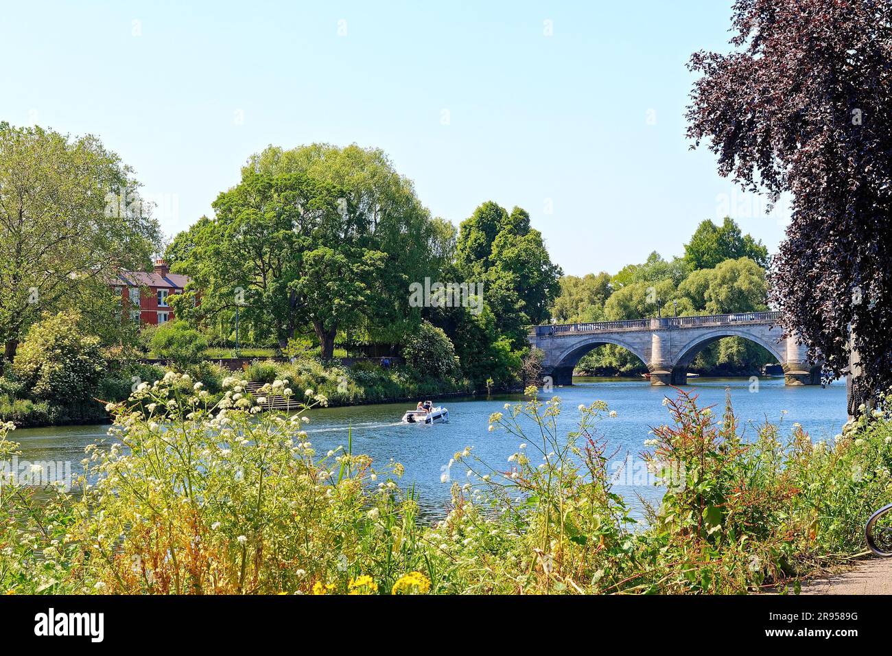 Ufer der Themse und Brücke in Richmond an der Themse an einem sonnigen Sommertag im Großraum London England Stockfoto