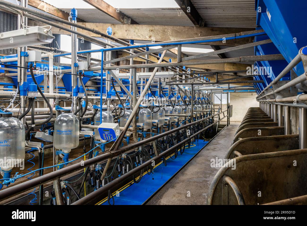 Melksalon auf einem Milchbetrieb in West Cork, Irland. Stockfoto