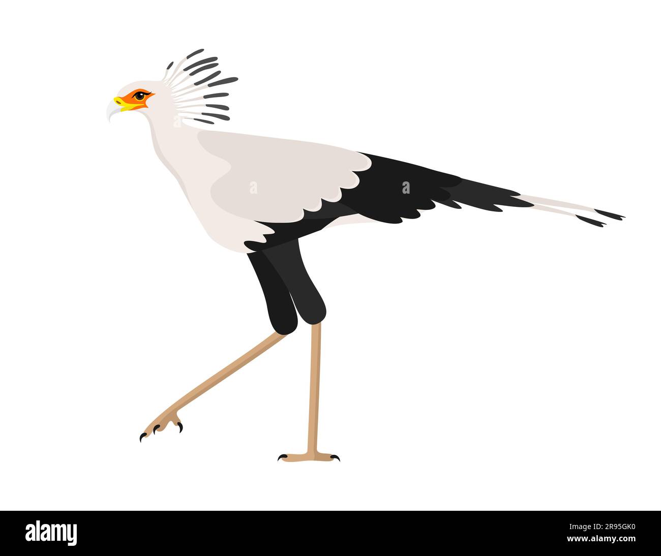 Sekretärin Vogel isoliert auf weißem Hintergrund. Abbildung eines flachen Vektors Stock Vektor