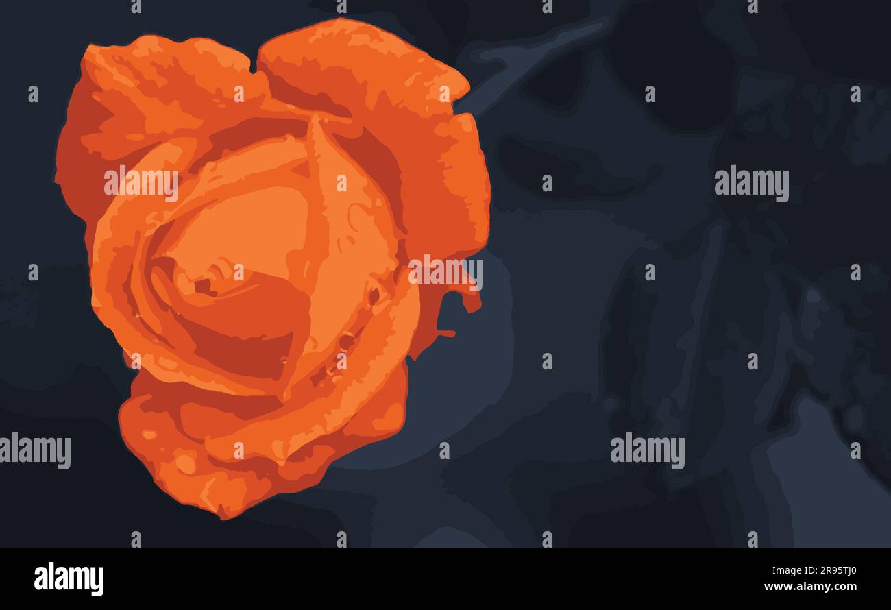 Vektor einer orangefarbenen Rose mit dunklem Hintergrund Stock Vektor