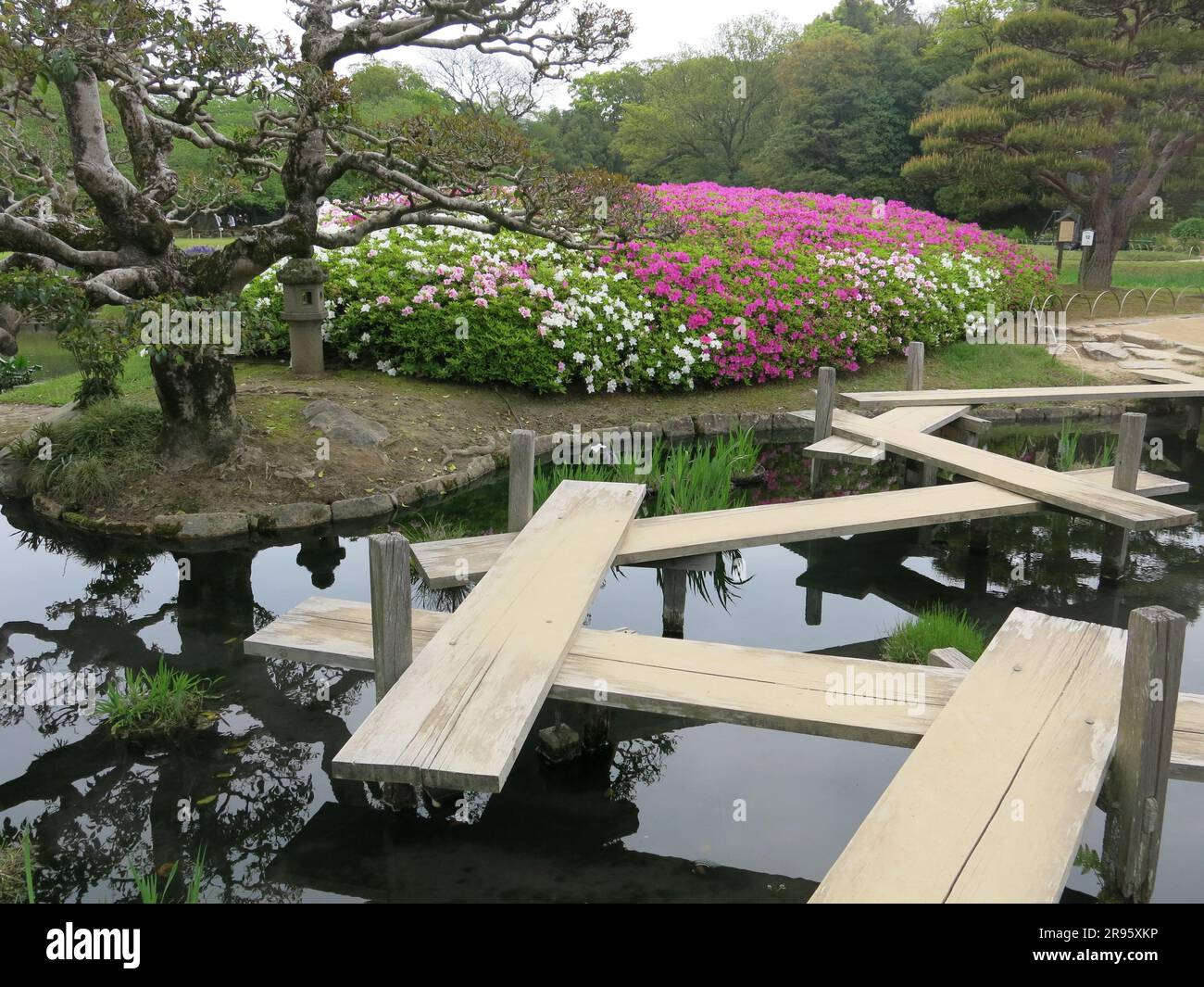 Die Planken werden in einem Zickzackmuster über den See gelegt und bieten einen Spaziergang durch Korakuen, einen der drei schönsten Landschaftsgärten Japans. Stockfoto