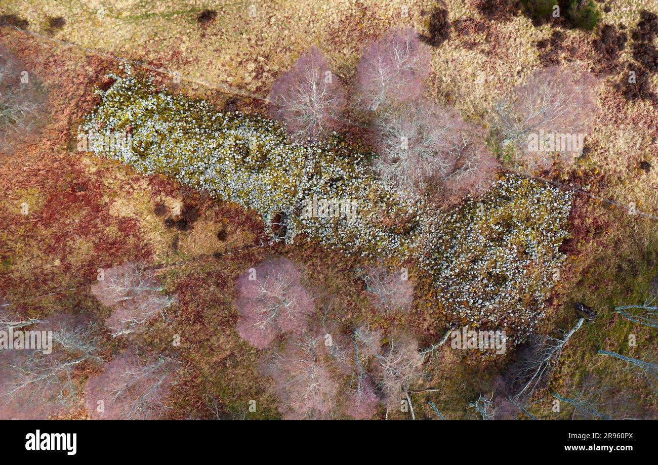 Blue Cairn von Balnagowan. Howe von Cromar, Schottland. 53m Jungsteinzeitliche Long Cairn mit Hörner-Vorplatz. Daten aus der frühen Siedlung vor 6000 Jahren Stockfoto