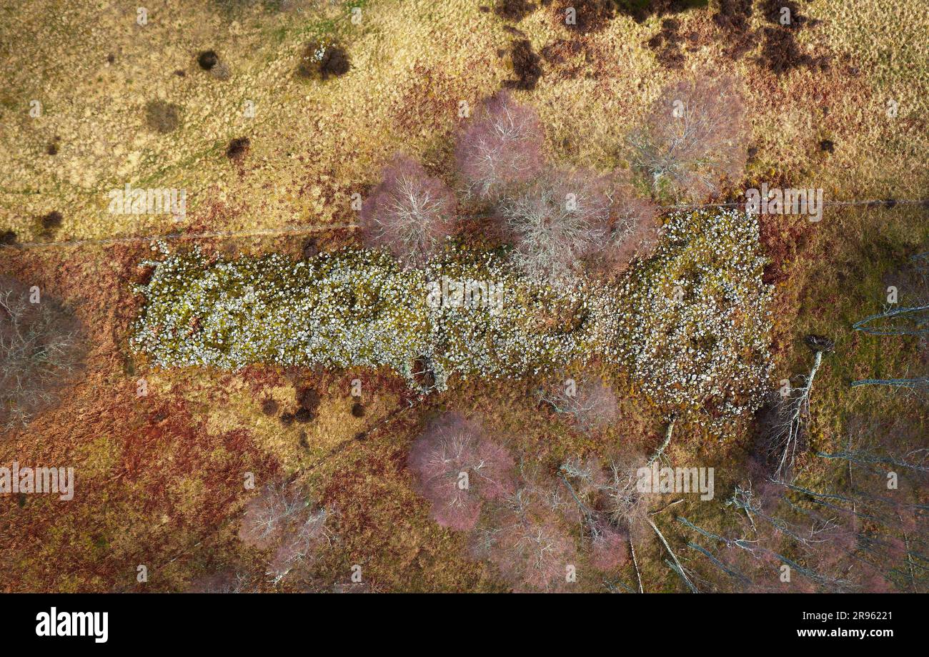 Blue Cairn von Balnagowan. Howe von Cromar, Schottland. 53m Jungsteinzeitliche Long Cairn mit Hörner-Vorplatz. Daten aus der frühen Siedlung vor 6000 Jahren Stockfoto