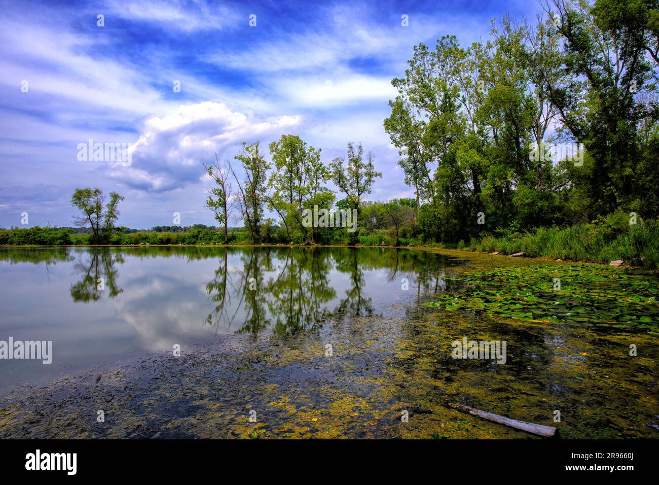 Malerischer Blick auf Bäume am Teich, der den blauen Himmel mit Wolken reflektiert Stockfoto