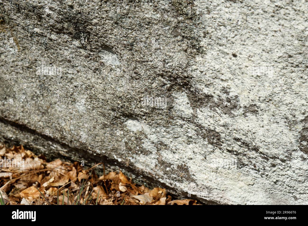 Cothiemuir prähistorischer liegender Steinkreis. N.E. aus Alford, Grampian, Schottland. Tassenabdrücke am unteren Rand des Liegeplatzes Stockfoto