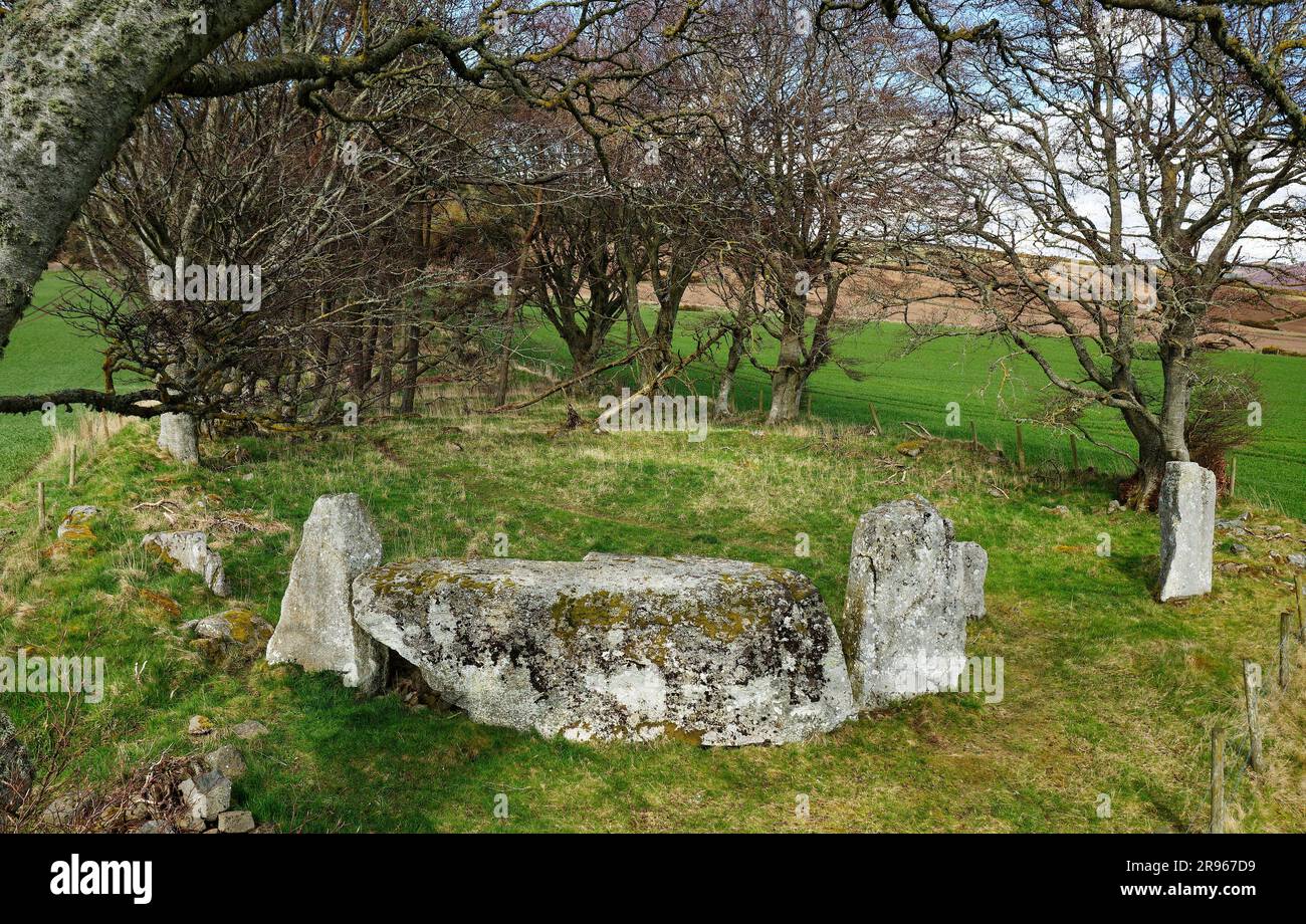 Der alte Keig prähistorische liegender Steinkreis. N.E. aus Alford, Grampian, Schottland. Nach Norden schauen Stockfoto