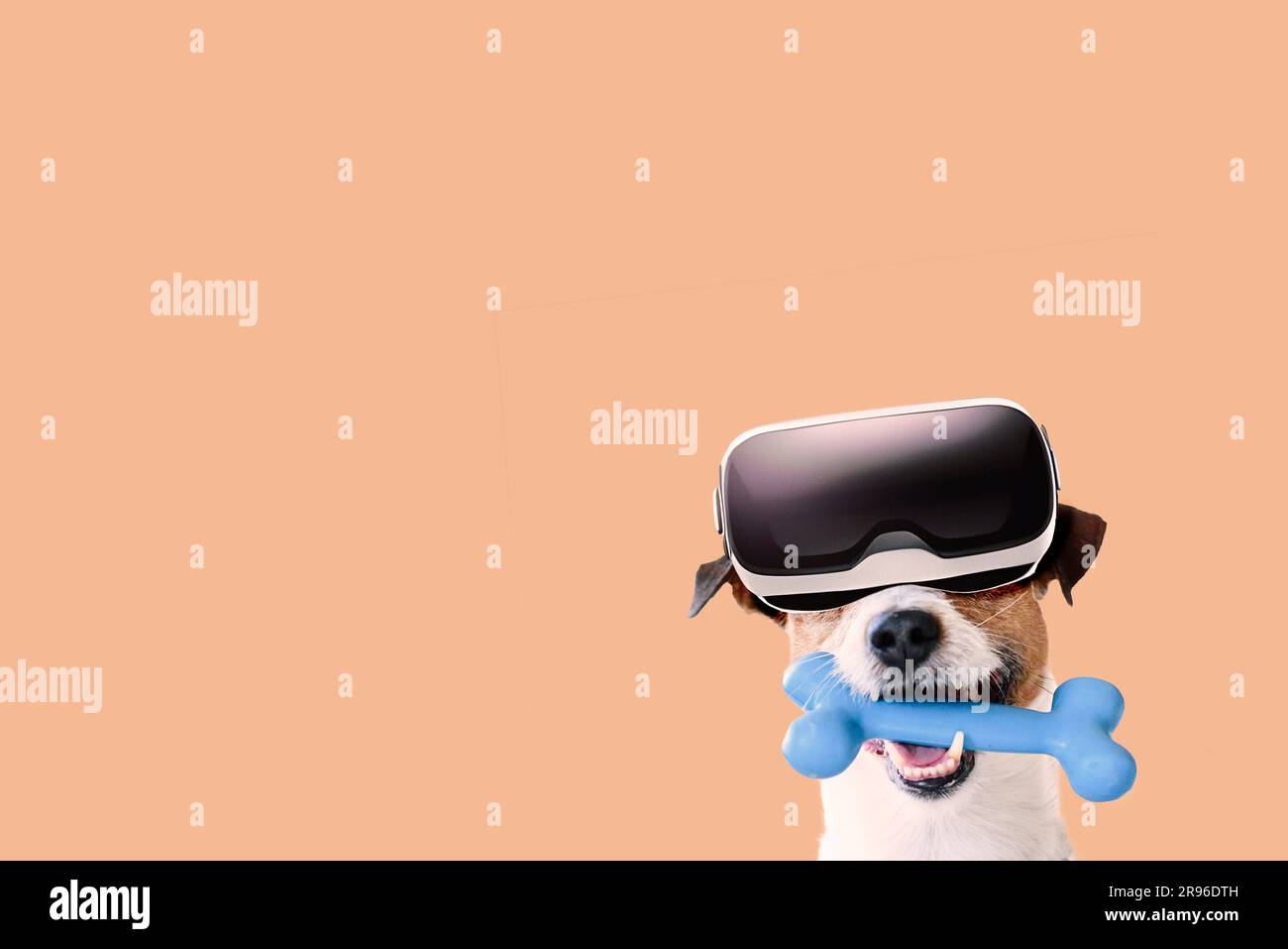 Hund trägt ein VR-Headset und spielt mit dem Spielzeugknochen. Humorvolles Virtual-Reality-Gaming-Konzept Stockfoto