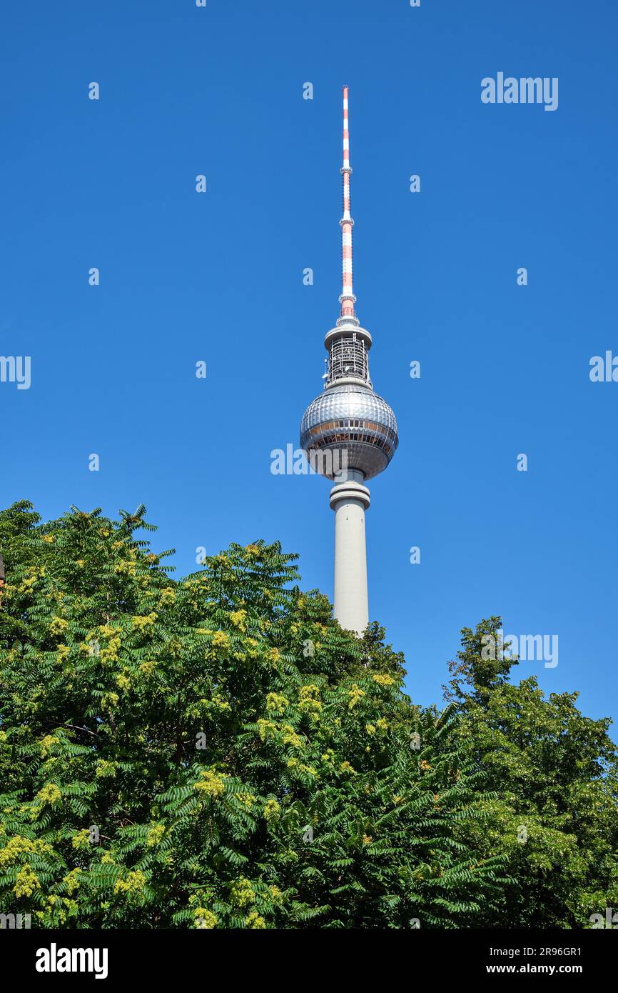 Der berühmte Fernsehturm in Berlin hinter einigen grünen Bäumen Stockfoto