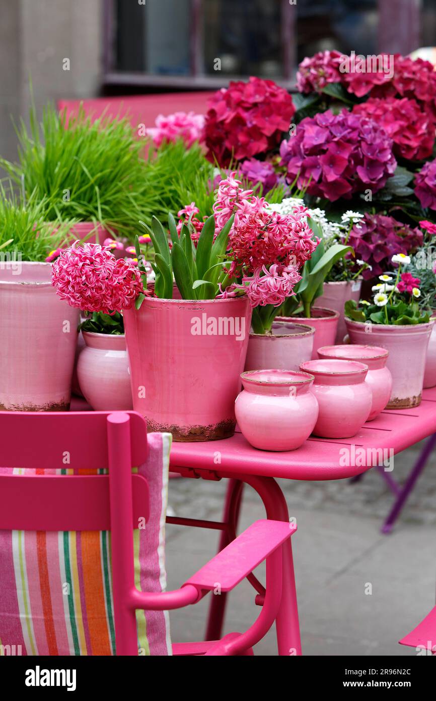 Gartentisch im Frühling, Blumen und Töpfe in rosa, Stuttgart, Baden-Württemberg, Deutschland Stockfoto