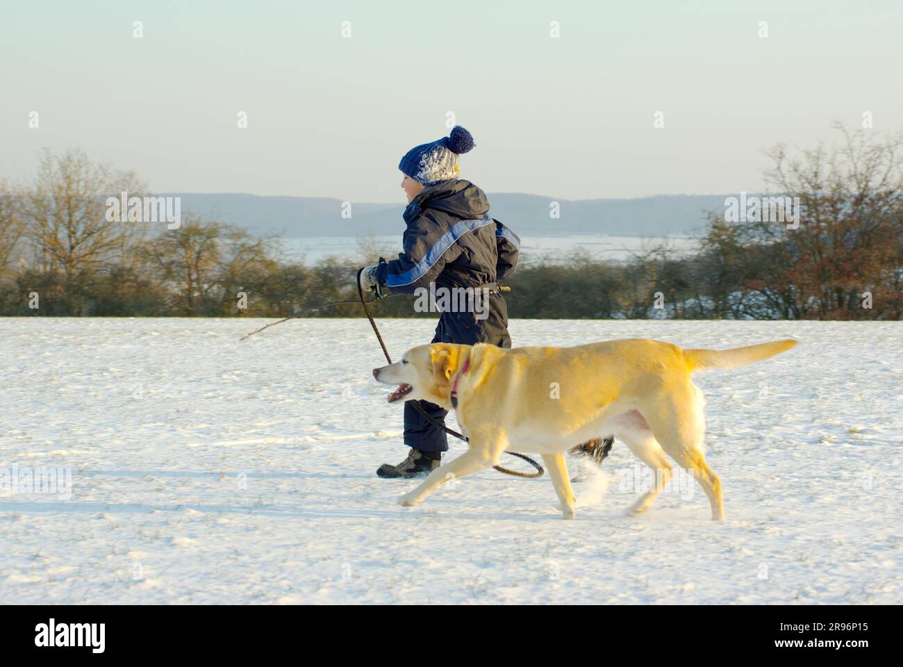 Der Junge geht mit Labrador Retriever spazieren Stockfoto