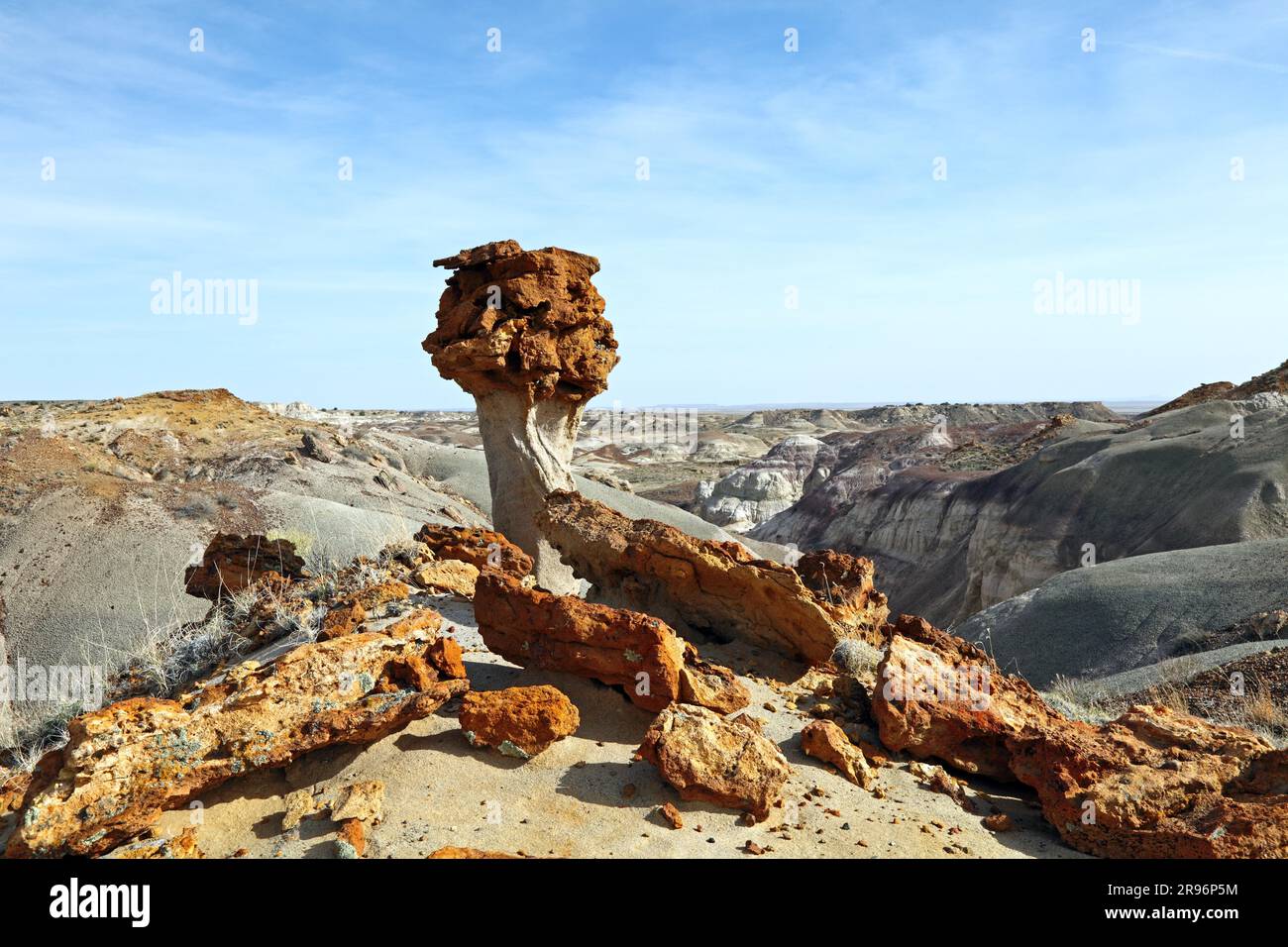 Hoodoo, De-Na-Zin-Wildnis, San Juan Basin, New Mexico, USA Stockfoto