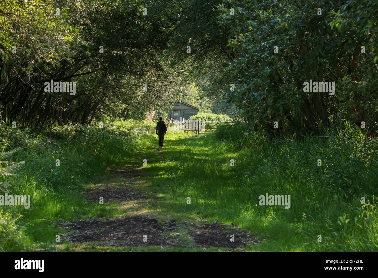 Juni 2023 - Ein Spaziergang allein auf dem Land Stockfoto