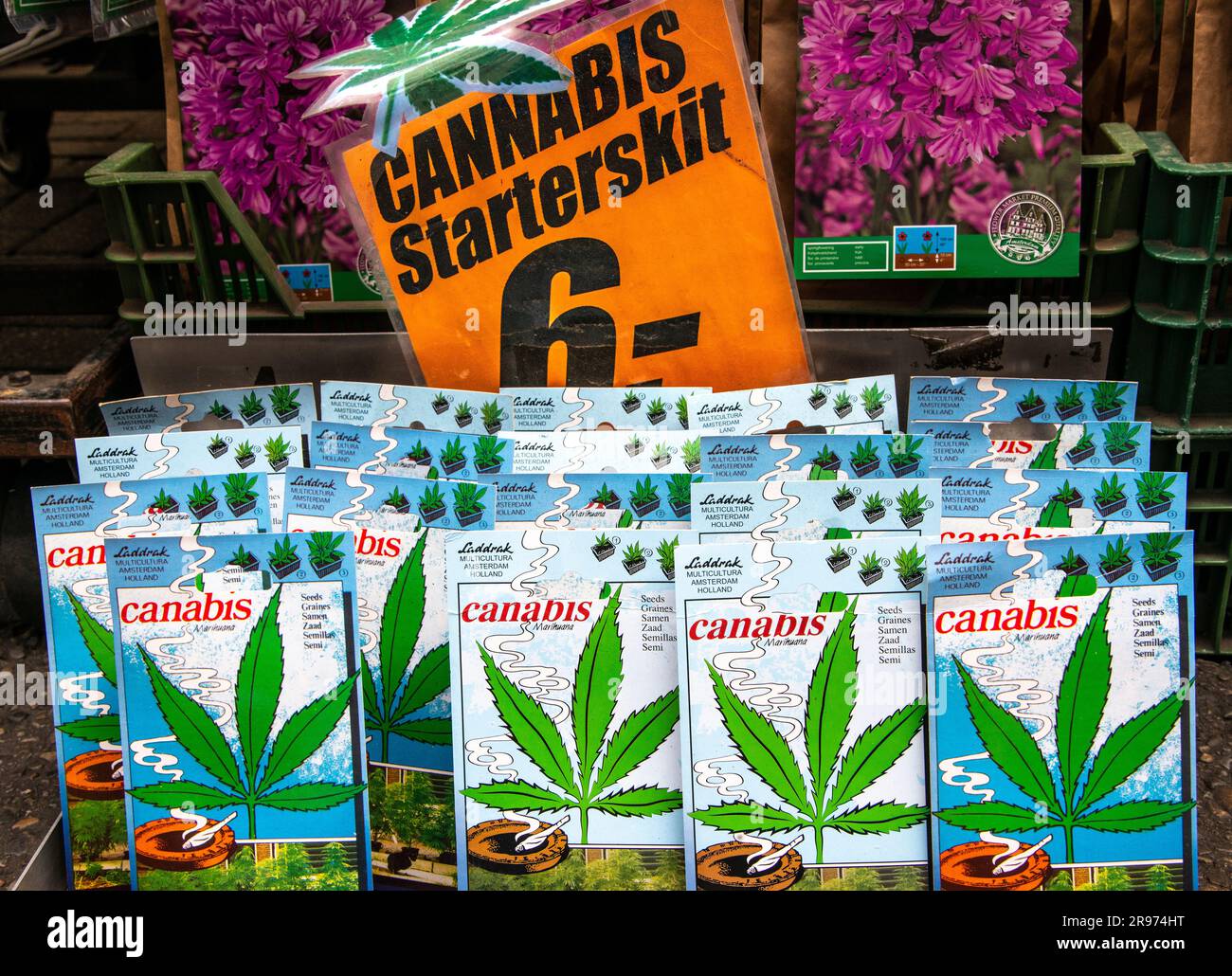 Cannabis-Starter-Kits und Saatgut zum Verkauf in Amsterdam. Stockfoto