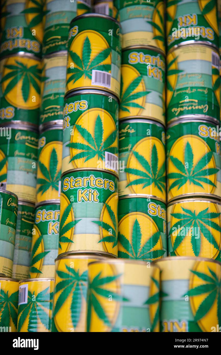 Cannabis-Starter-Kits und Saatgut zum Verkauf in Amsterdam. Stockfoto