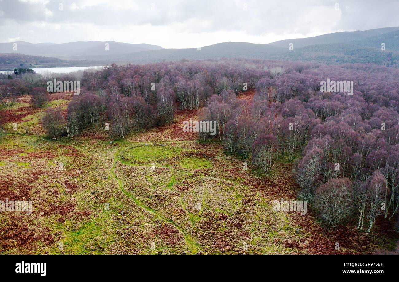 New Kinord prähistorische Siedlung aus der Eisenzeit, Wohnkreise, Anlagen 2000 bis 2500 Jahre alt. Wir suchen N.W. nach Loch Davan, Grampian, Schottland Stockfoto