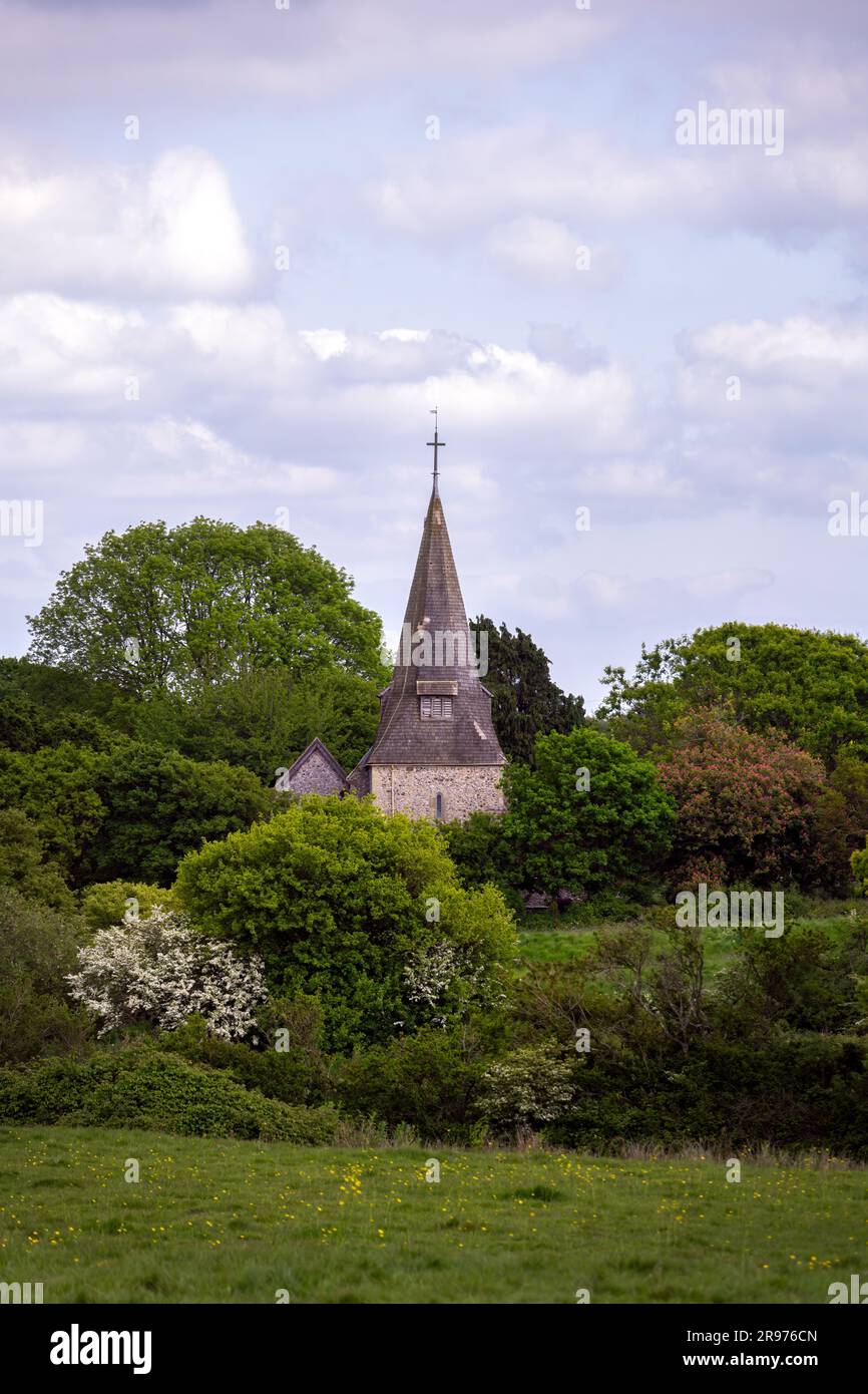 Arlington Kirche, eingebettet in die Bäume im Frühling, Wealden, East Sussex, England Stockfoto
