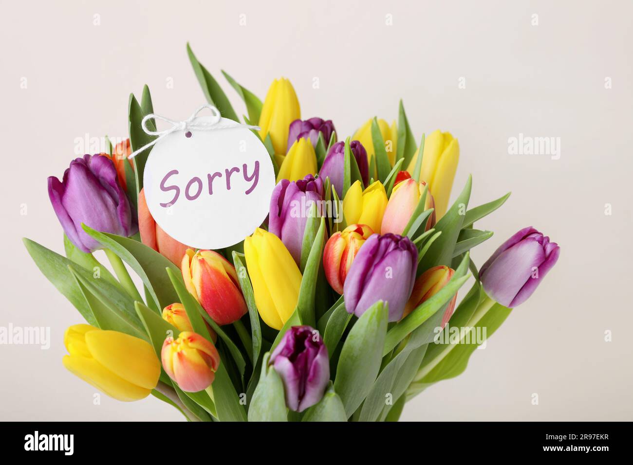 Entschuldigung. Strauß bunter Tulpen mit „Sorry“-Etikett auf weißem Hintergrund, Nahaufnahme Stockfoto