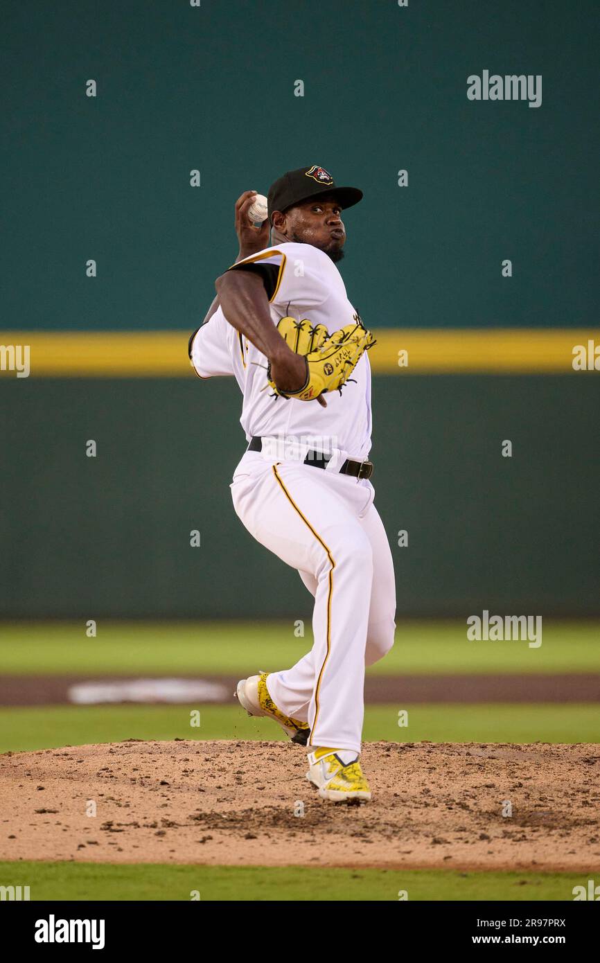 Bradenton Marauders pitcher Geronimo Franzua (14) during an MiLB