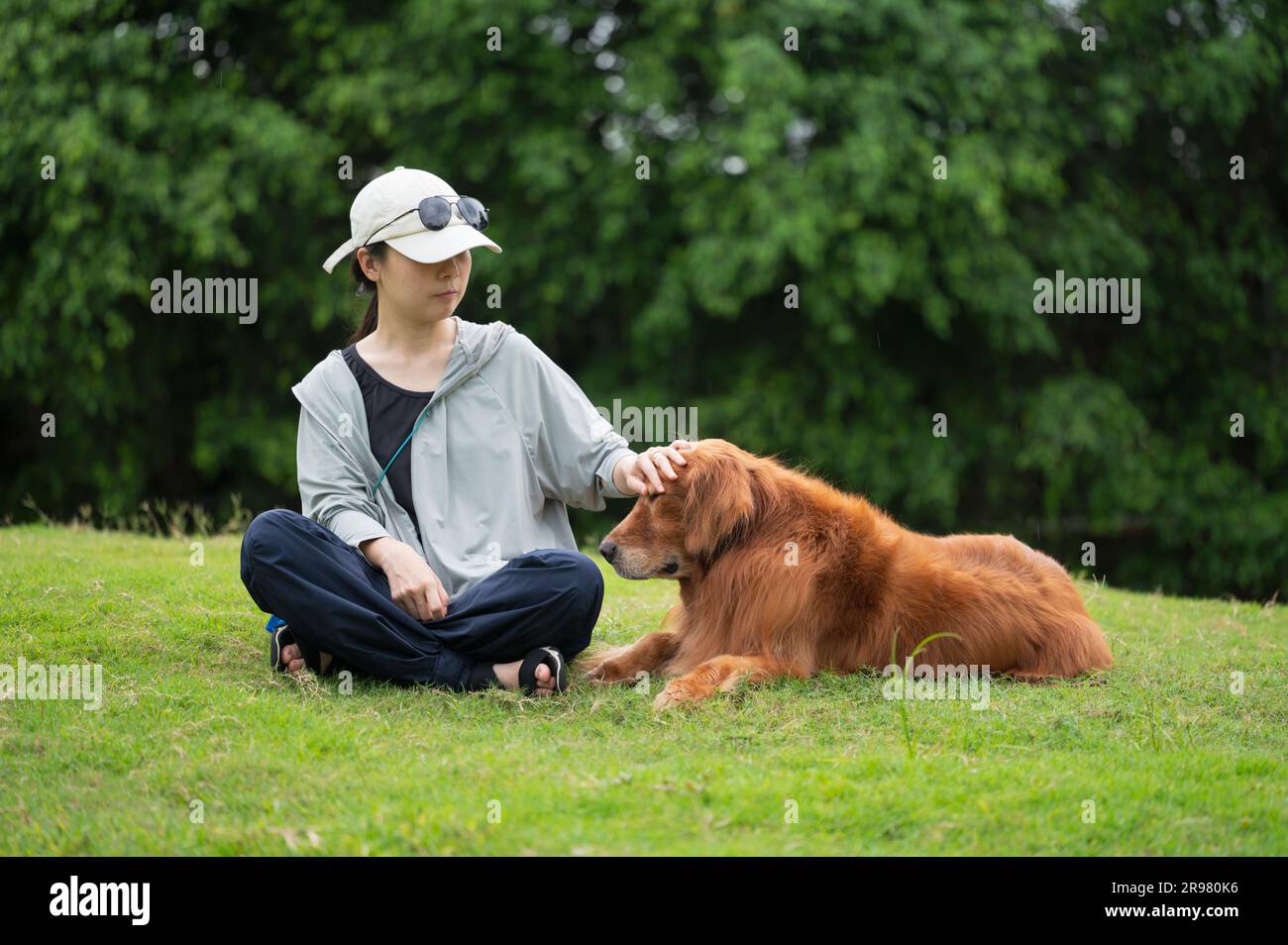 Der Golden Retriever-Hund sitzt mit dem Besitzer auf dem Gras Stockfoto