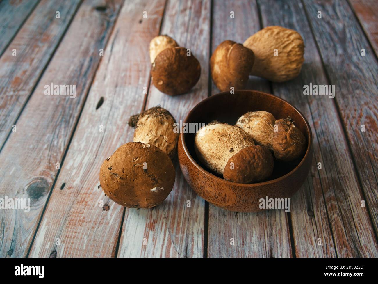 Pilz-Boletus auf Holzhintergrund. Pilze in Holzschüssel Stockfoto