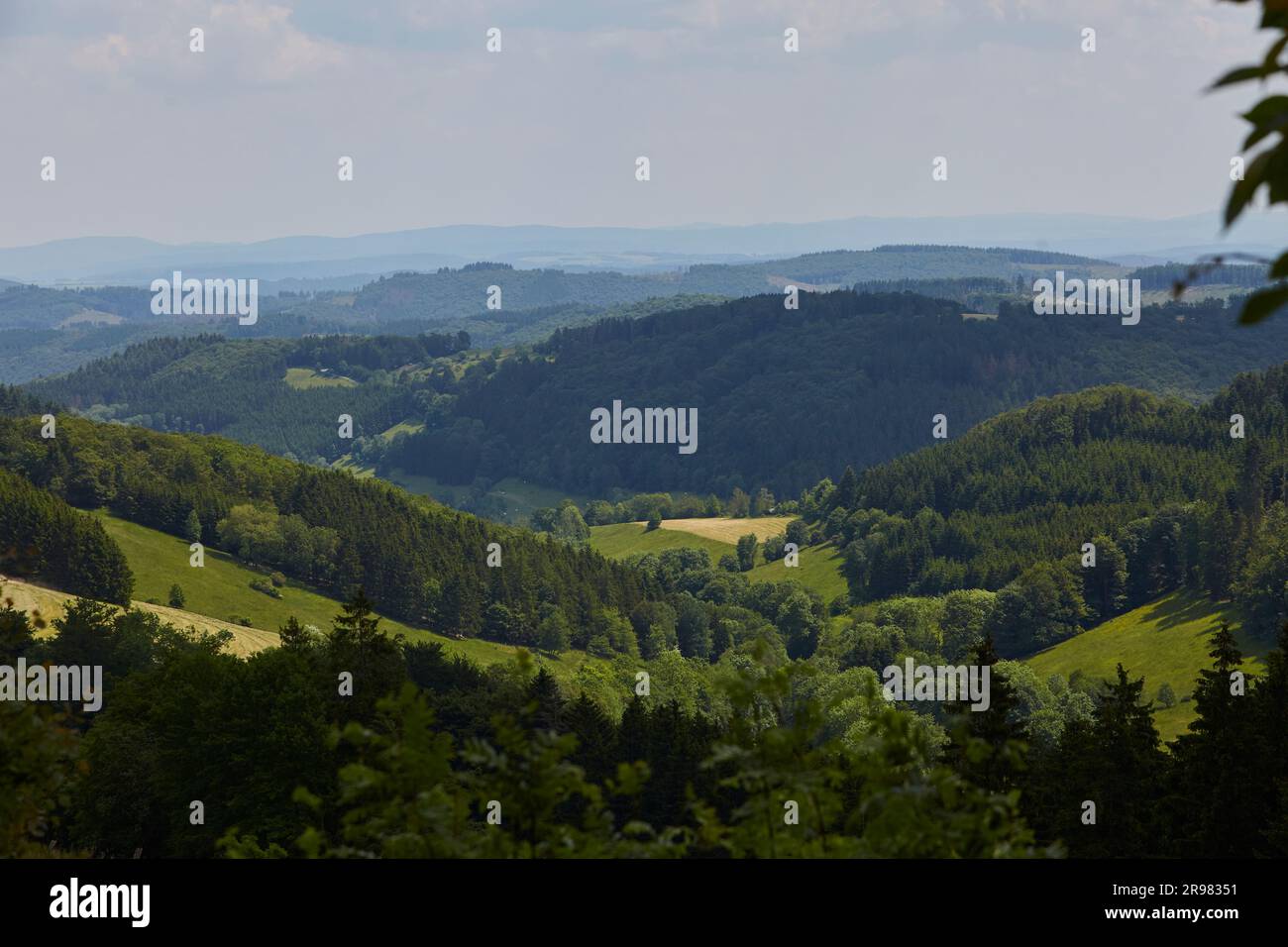 Willingen, Skigebiet, Hochland, Hessen, Sauerland, Hessia, Deutschland, Deutschland, Europa – Kredit: Sarah Bömer Stockfoto