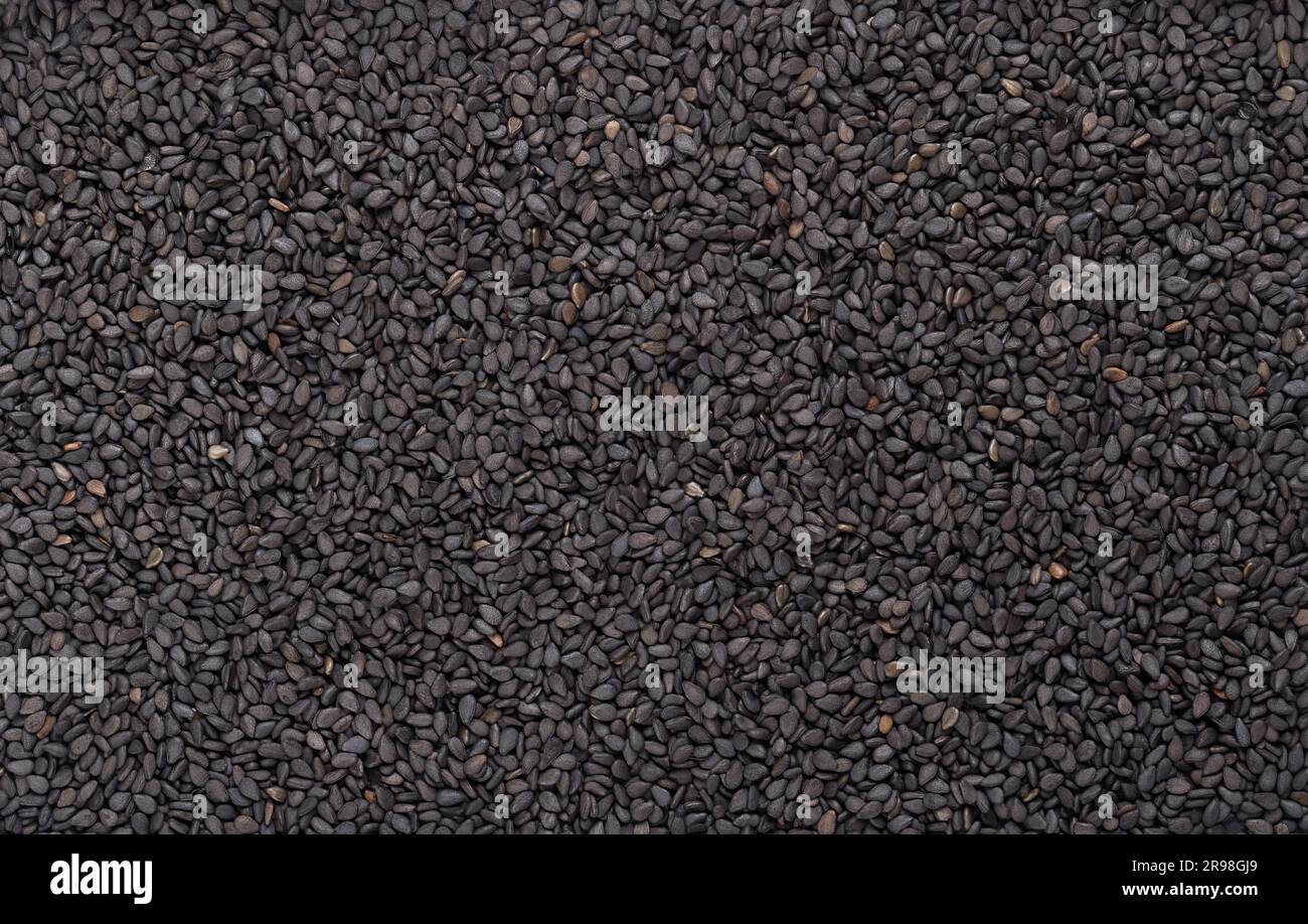 Schwarzer Sesam, von oben. Nicht hüllte Samen von Sesamum indicum, mit reichem und nussigem Geschmack und mit einem der höchsten Ölgehalte aller Samen. Stockfoto